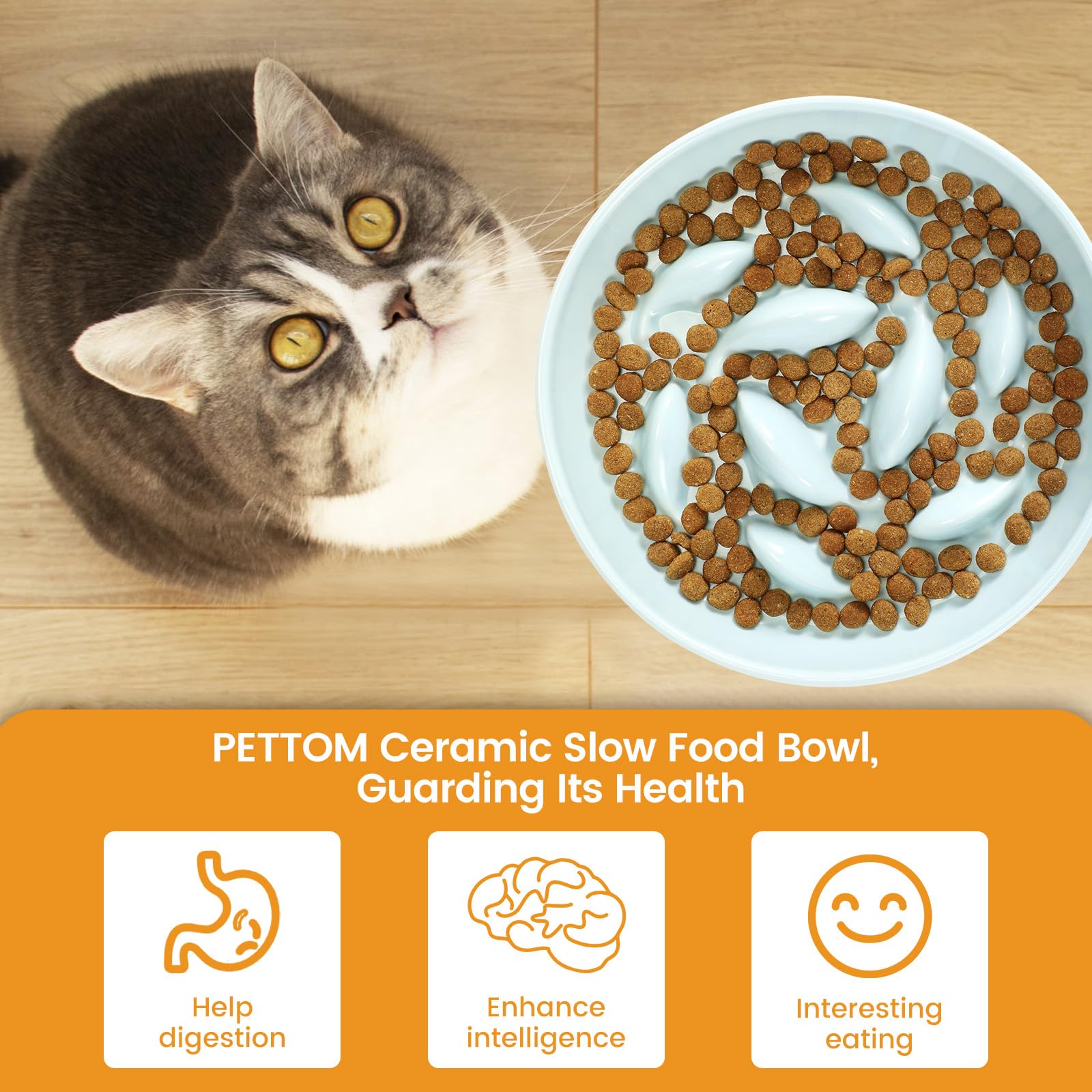 PETTOM Slow Feeder Cat Bowl with Stand, Ceramic Slow Eating Cat Bowl with Higher Edges Fish Pool Design Elevated Food Bowls for
