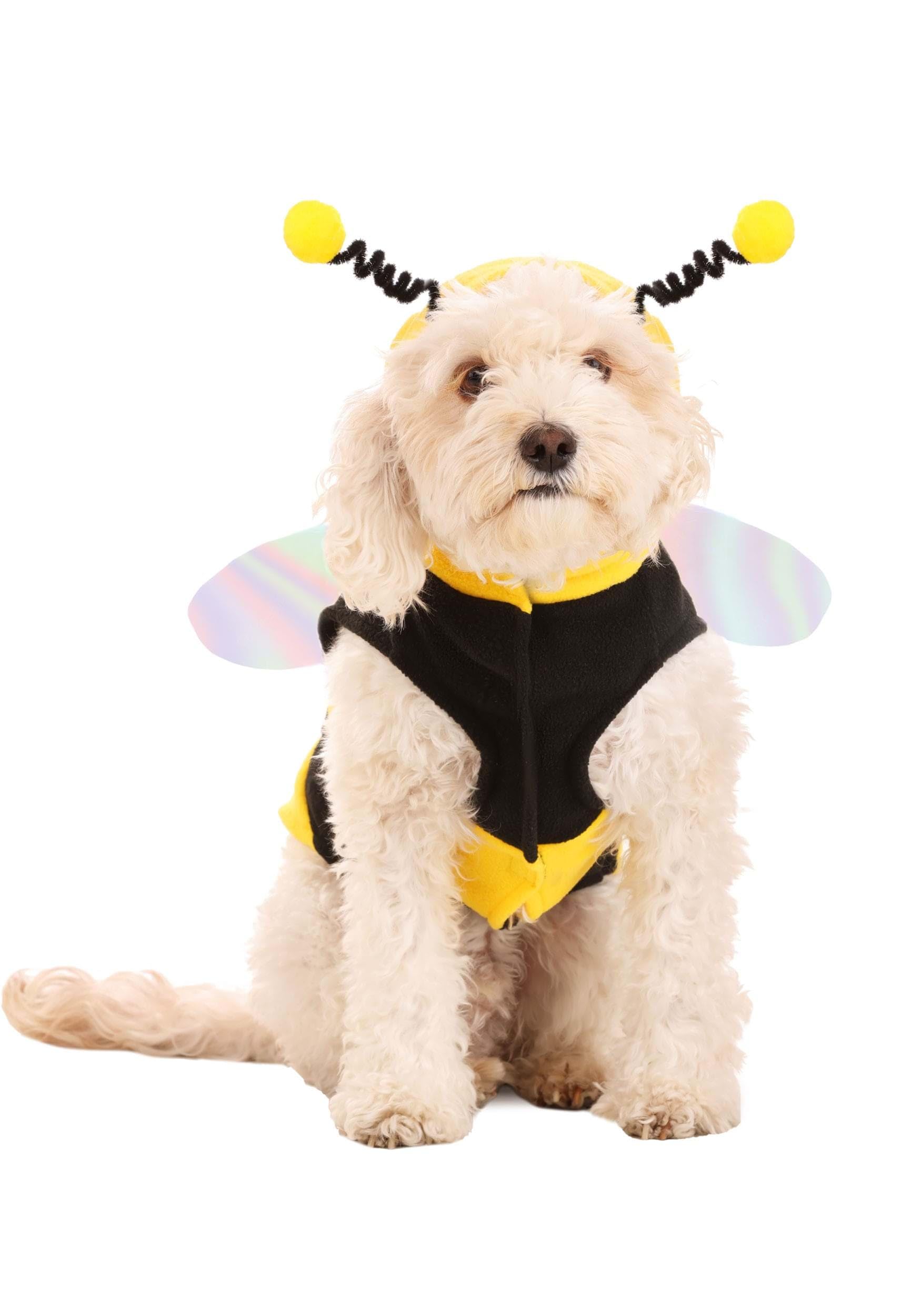 Fun Costumes Lil Bumble Bee Pet Costume L