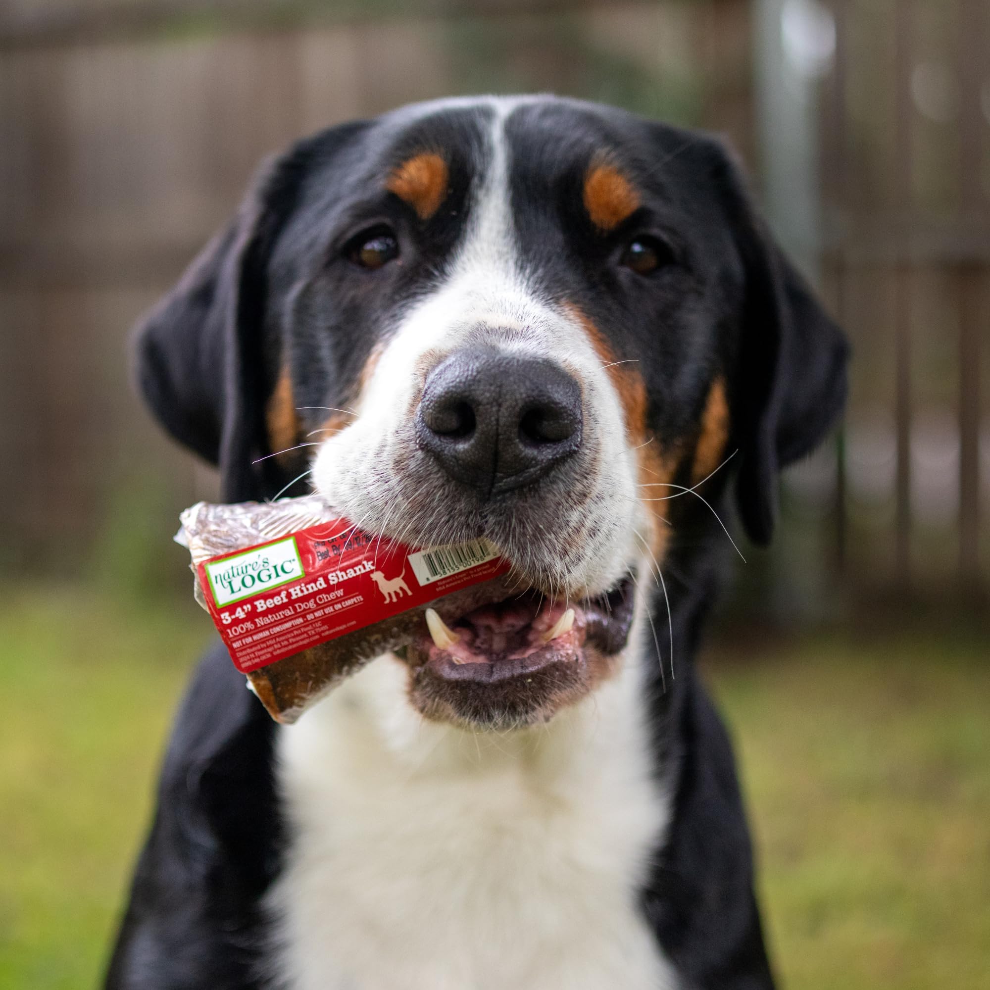 Natures Logic Beef 3-4 Hind Shank Bone Treat, 1lb