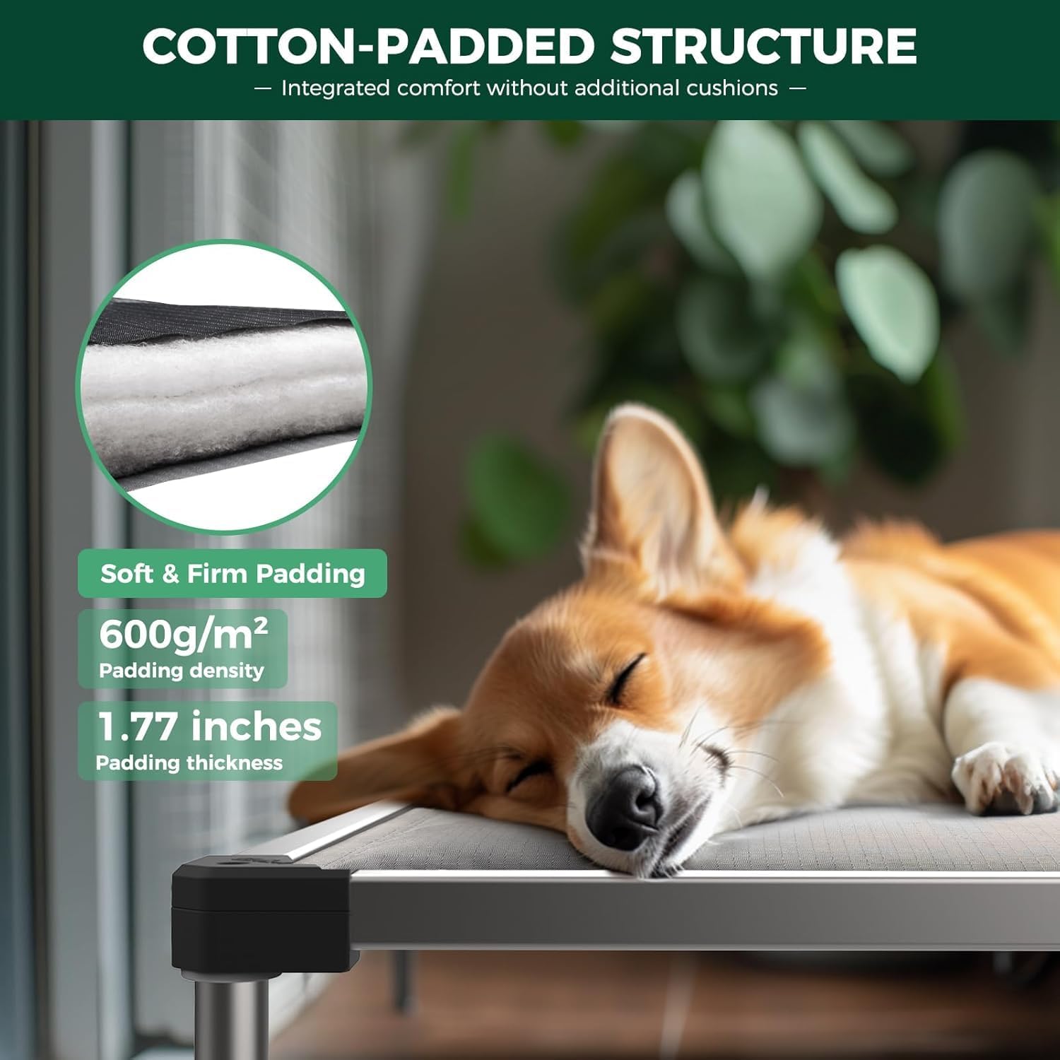 FXW TitanNest Chew-Proof Elevated Dog Bed, Raised Cot for Indoor/Outdoor/Camping Use, Durable & Washable Padded Pet Bed for Smal