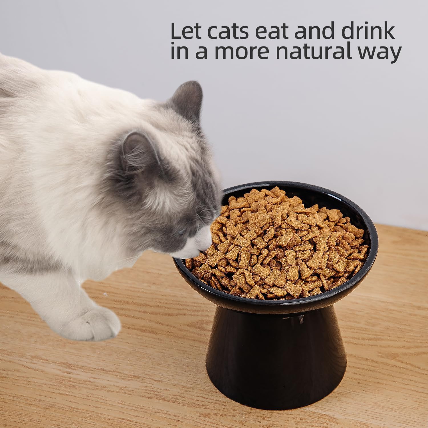 KITCHENLESTAR 6.2 Inch Extra Wide Elevated Ceramic Cat Bowls, Food and Water Bowl Set for Elder Big Cats Small Dogs, Raised Desi