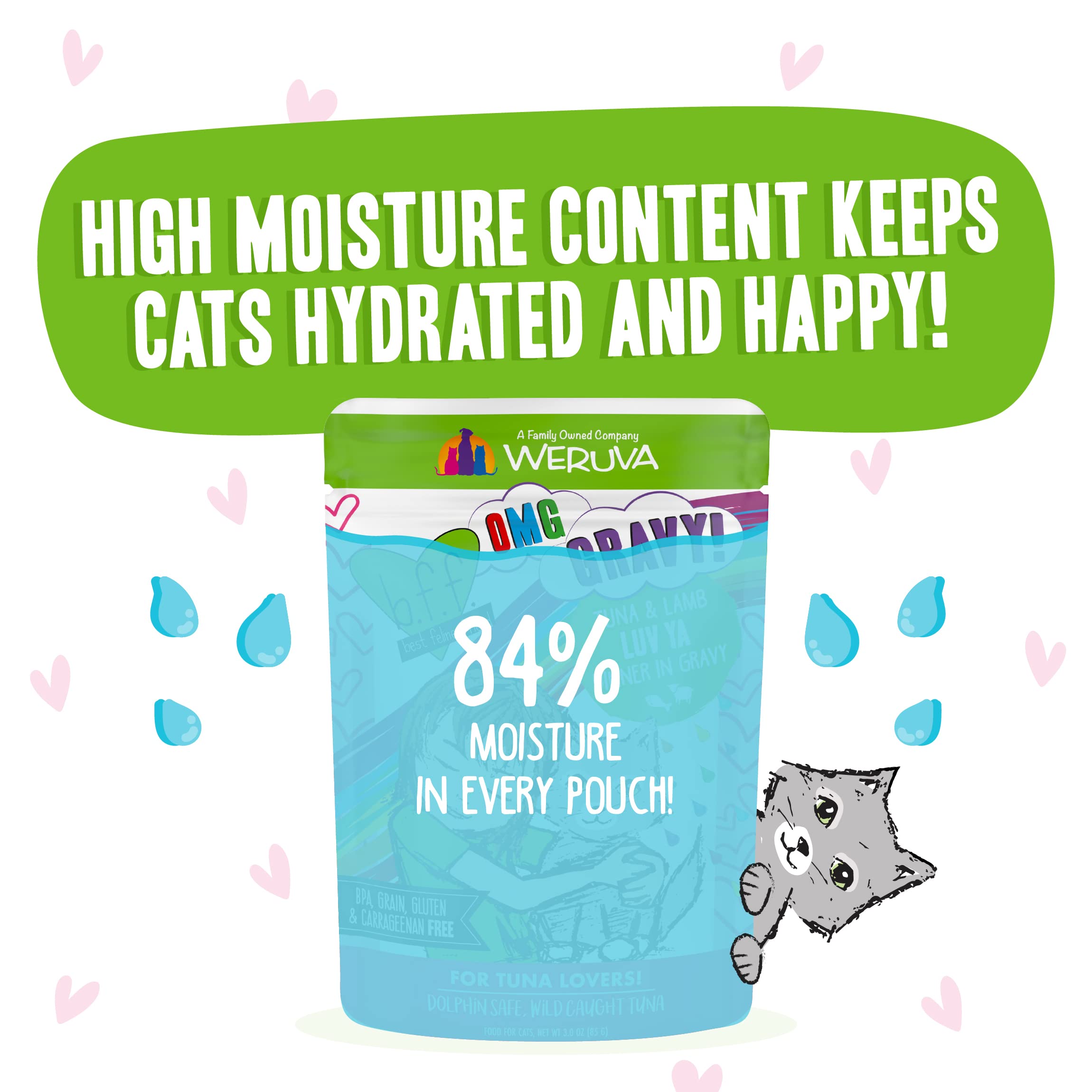 Weruva B.F.F. OMG - Best Feline Friend Oh My Gravy!, Tuna & Lamb Luv Ya with Tuna & Lamb in Gravy Cat Food, 3oz Pouch (Pack of 1