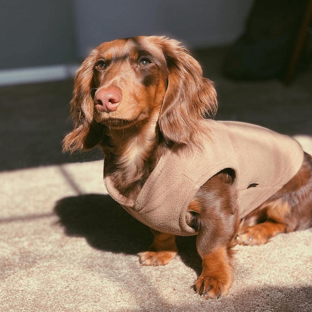 Gooby - Fleece Vest, Small Dog Pullover Fleece Jacket With Leash Ring, Clay, X-Large