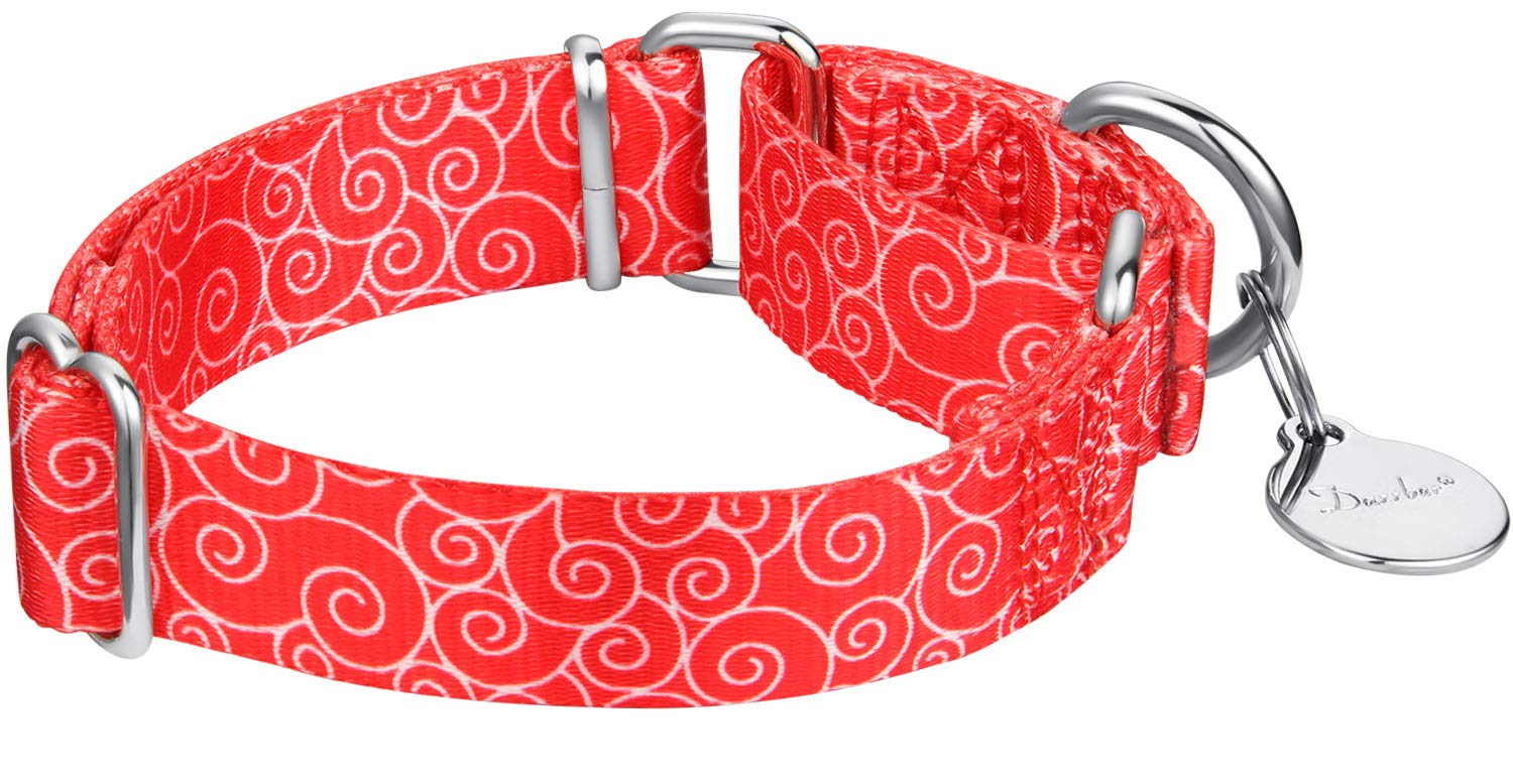 Dazzber Puppy Collar Martingale Dog Collar - No Pull Anti-Escape Pet Collar For Small Dogs, Adjustable 10 Inch To 15 Inch, Red,
