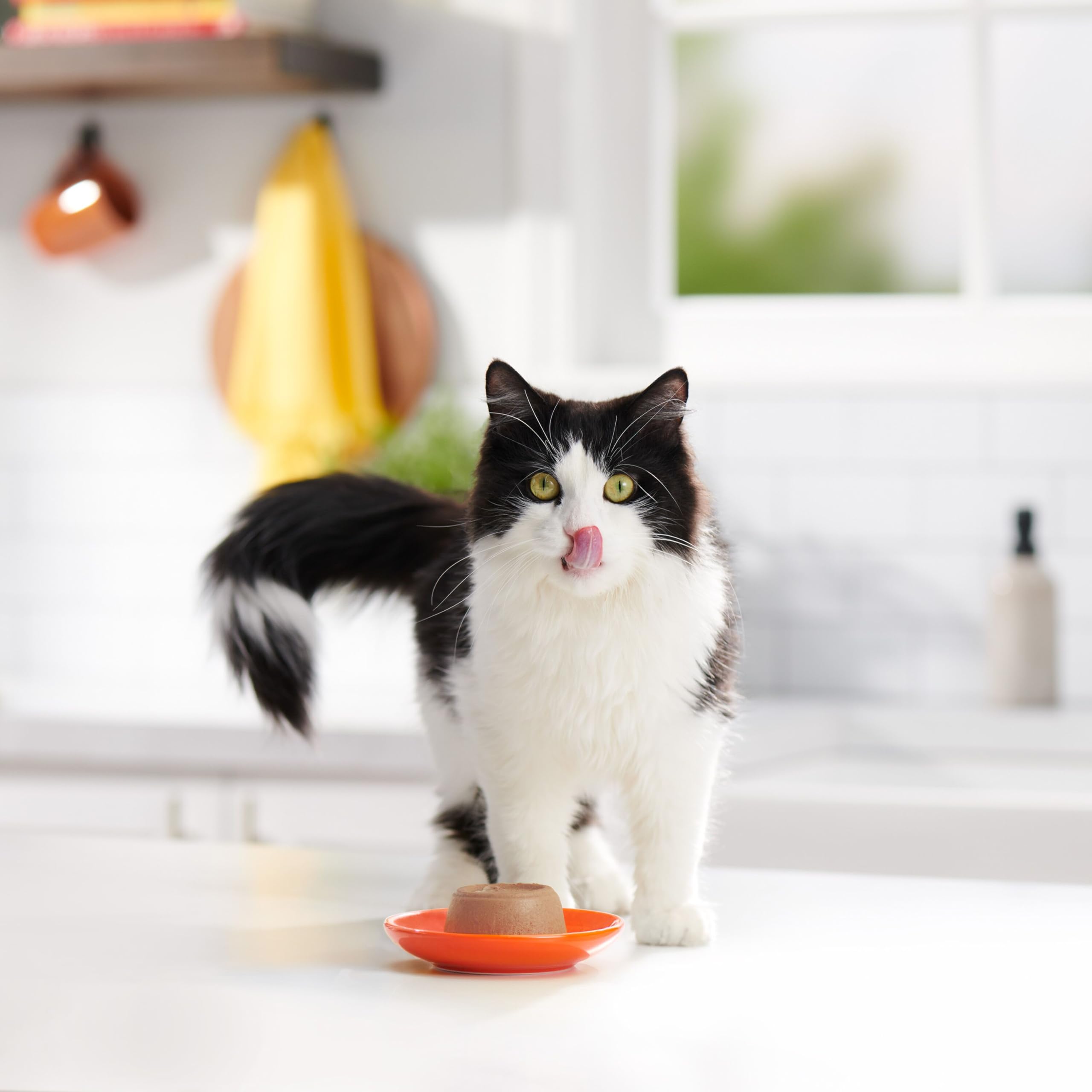 Meow Mix Pat   in Gravy Wet Cat Food with Real Chicken & Beef, 2.75 Ounce (Pack of 12)