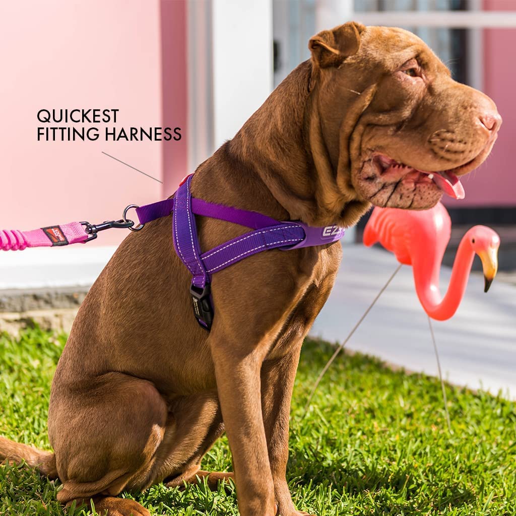 Ezydog Premium Quick Fit Adjustable Premium Dog Harness Vest With Reflective Stitching - Perfect For Training, Walking, And Control - Padded For Comfort (Small, Purple)