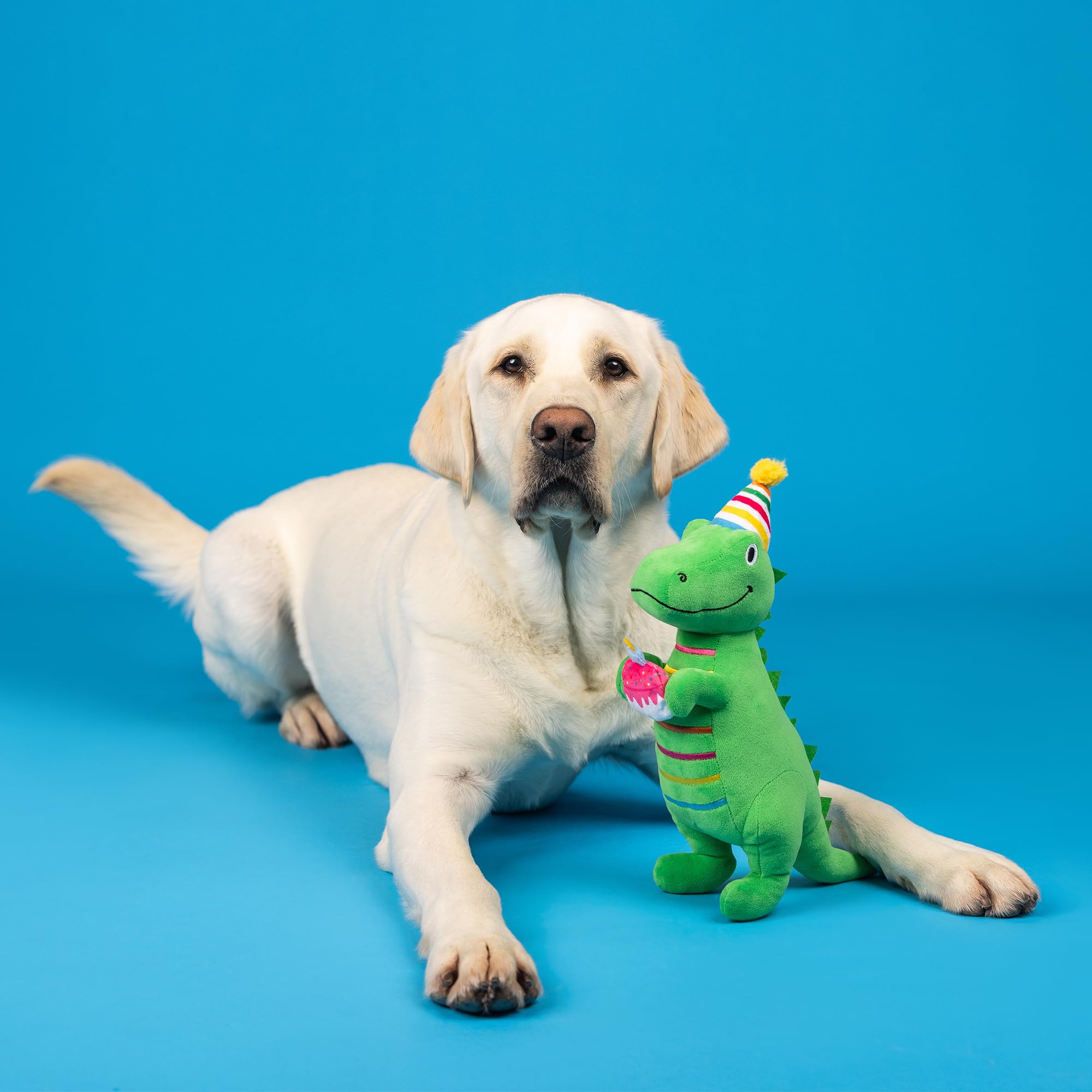 Fringe Studio Plush Dog Toy, IM How Old?, Pet Shop Collection (314595)