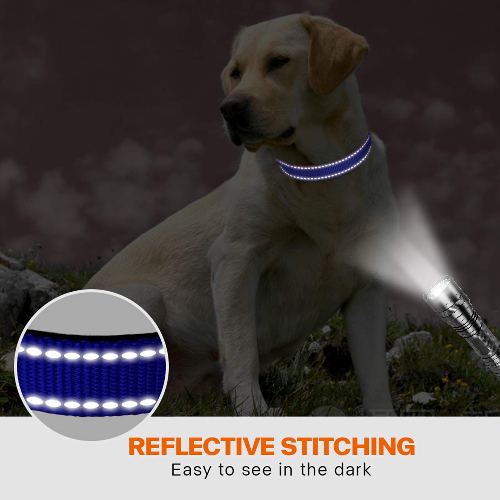 Taglory Reflective Dog Collar With Safety Locking Buckle, Adjustable Nylon Pet Collars For Large Dogs Female Male, Navy Blue, L