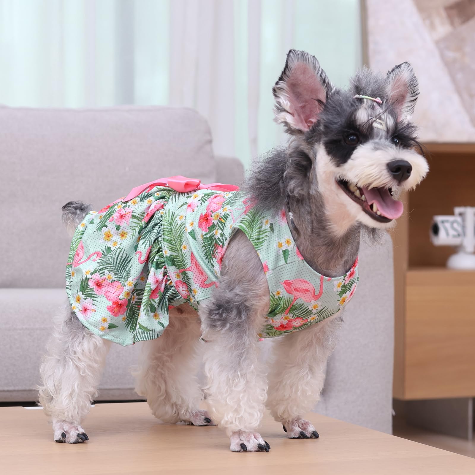 Cutebone Dog Mesh Dress Puppy Sundress Pet Outfit Summer Fashion For Small Dogs Girl Cat Clothes Bf34L