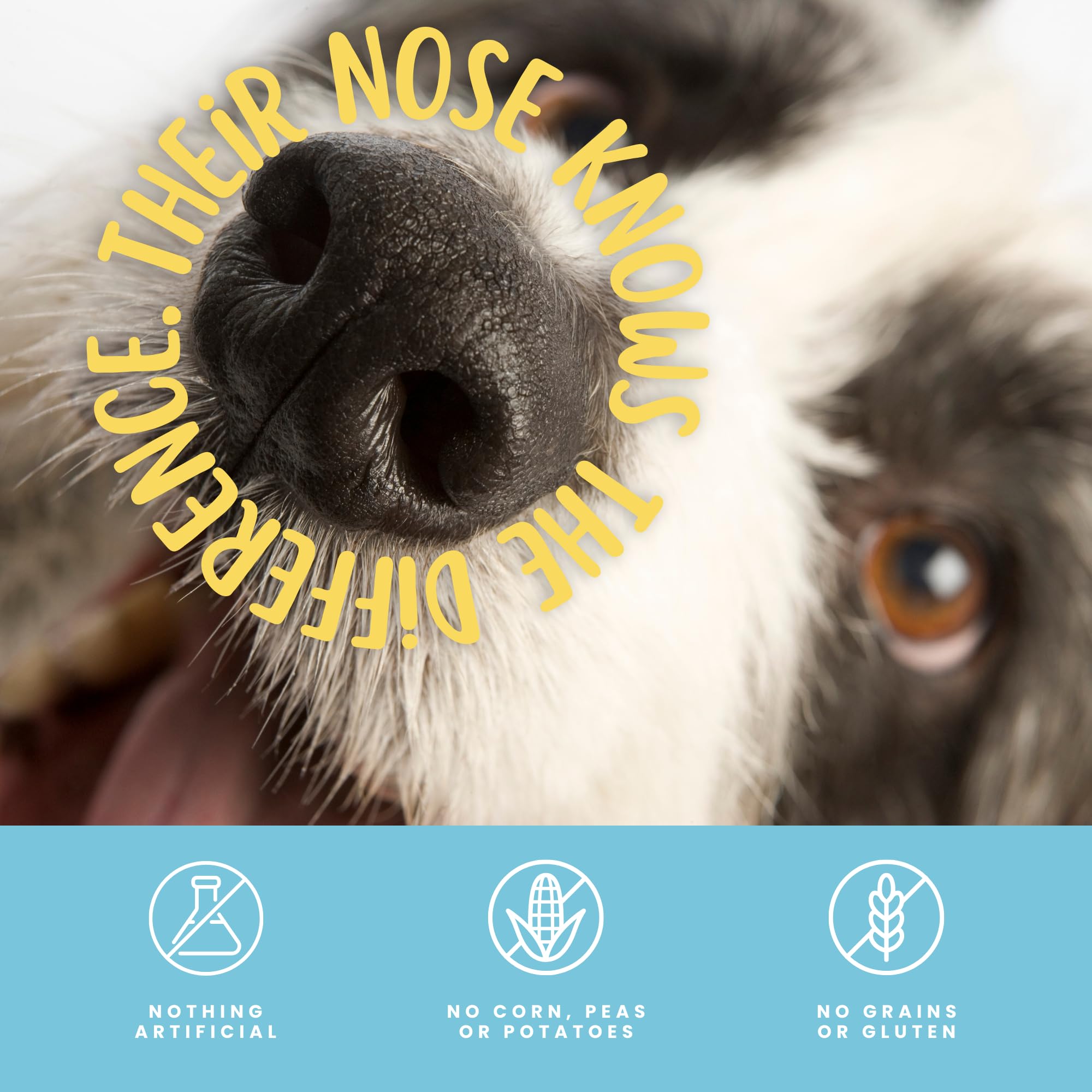 hotspot pets All-Natural Cow Ears Dog Chews - Long-Lasting Single Ingredient Treat for Healthy Teeth & Gums, Perfect for Dogs