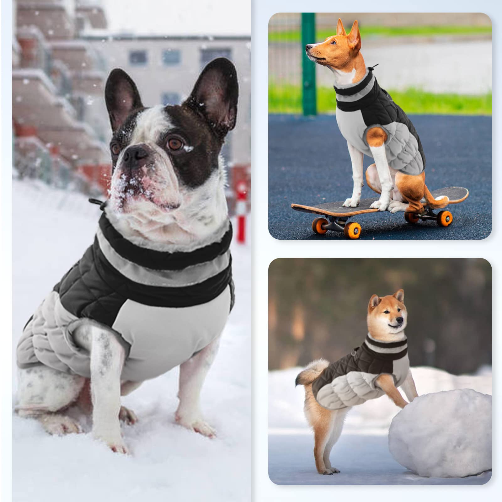 OUOBOB Dog Winter Jacket, Waterproof & Windproof Fleece Apparel, X-Small, Black, Model C96-126MF