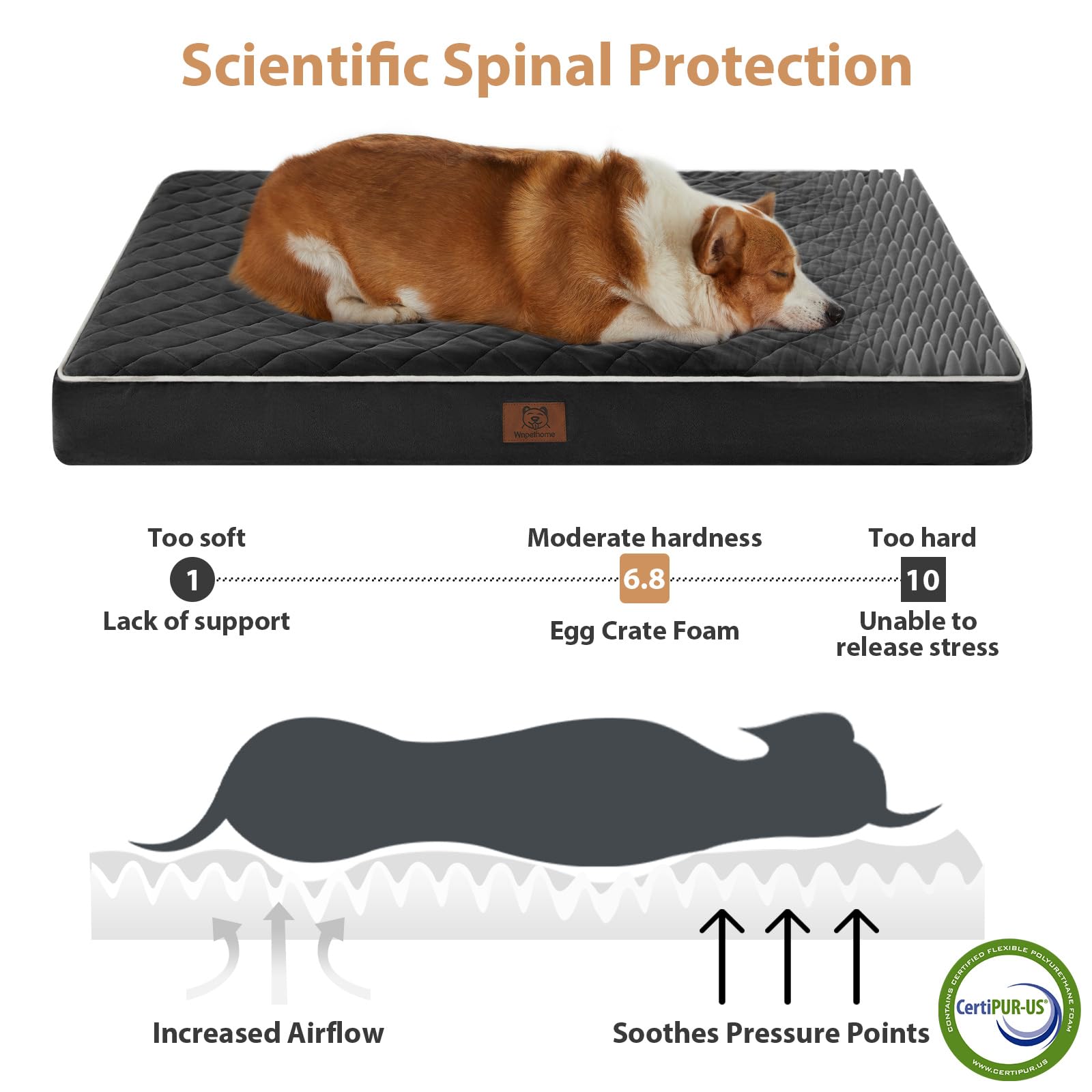 WNPETHOME Orthopedic XL Dog Beds Large Sized Dog, Waterproof Extra Large Dogs Bed with Removable Washable Cover, Multi-Needle Qu