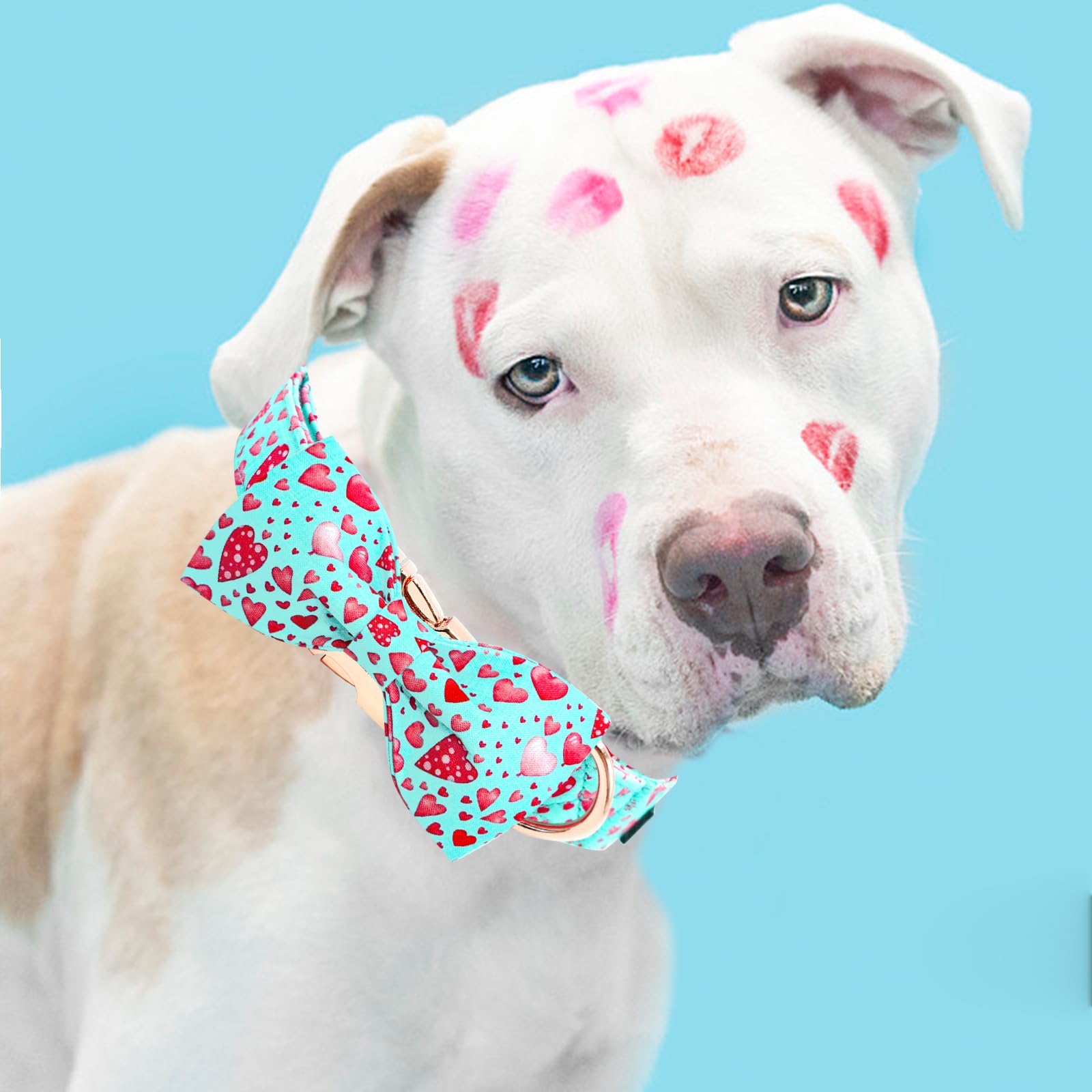 Elegant little tail Valentine's Dog Collar, Cute Pink Heart Dog Collar with Bow Soft Dog Collar Female or Male Adjustable Cotton