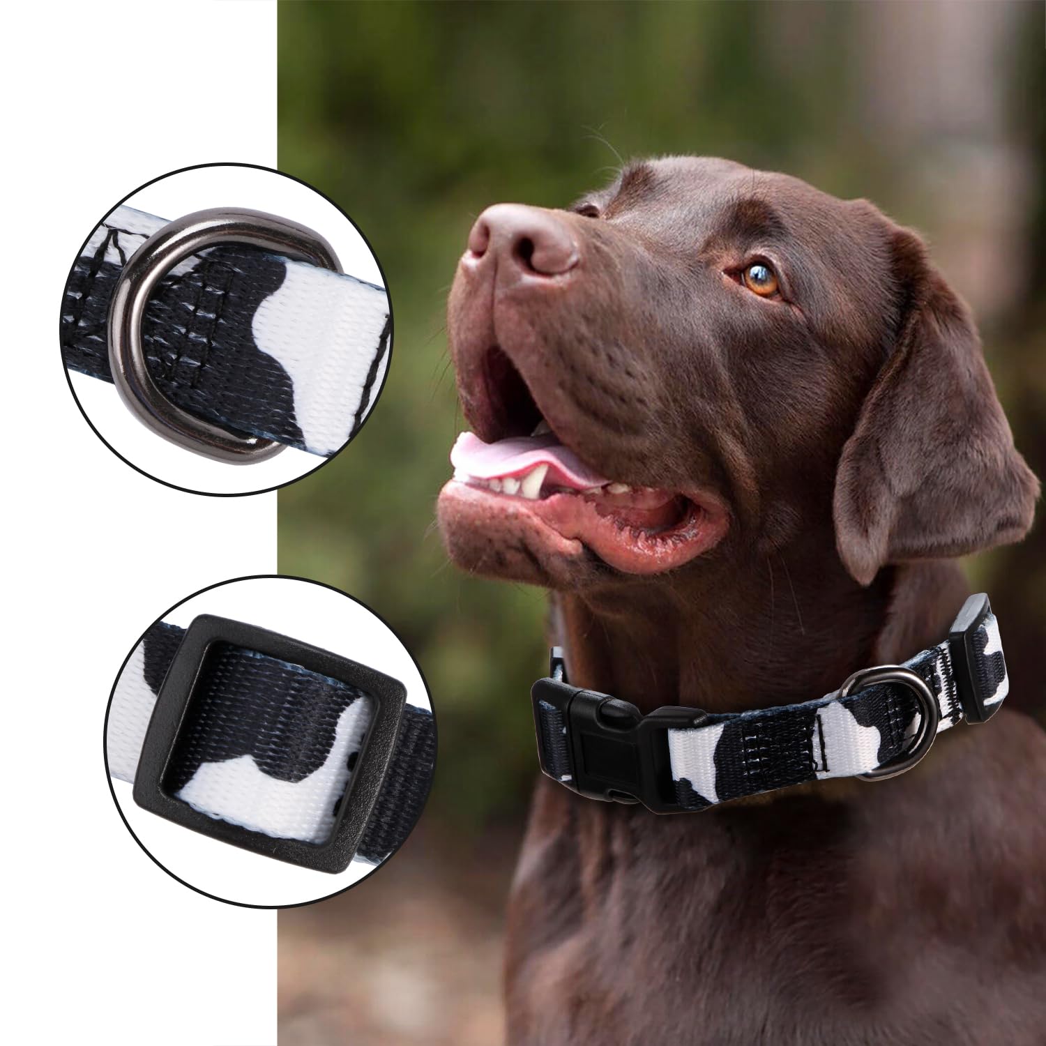 Rhea Rose Cow Print Dog Collar Animal Pattern For Dogs White Black, Medium