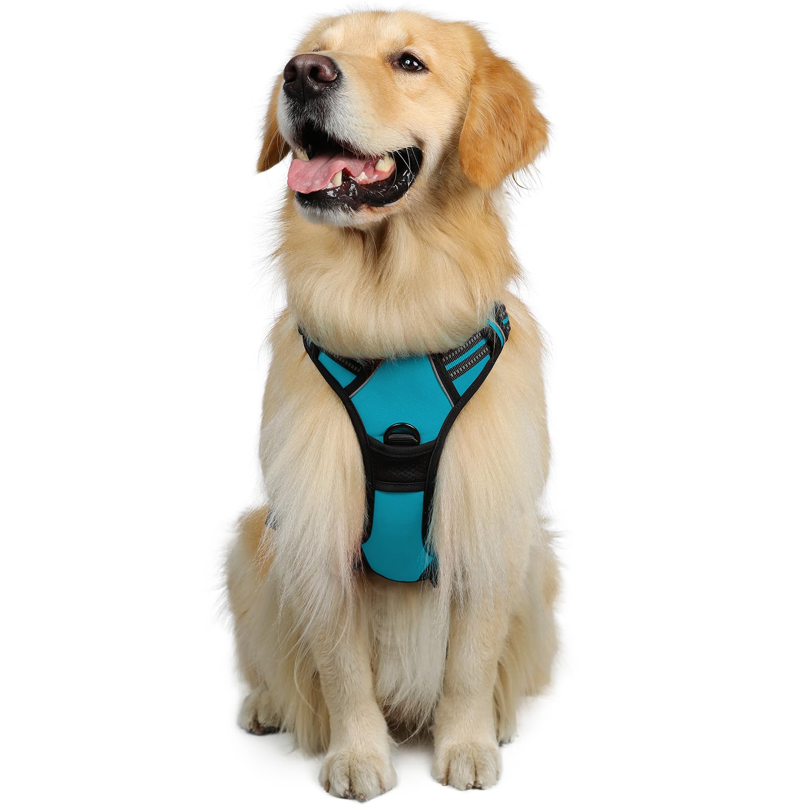 Rabbitgoo Dog Harness, No-Pull Pet Harness With 2 Leash Clips, Adjustable Soft Padded Dog Vest, Reflective No-Choke Pet Oxford Vest With Easy Control Handle For Large Dogs, Teal, Xl