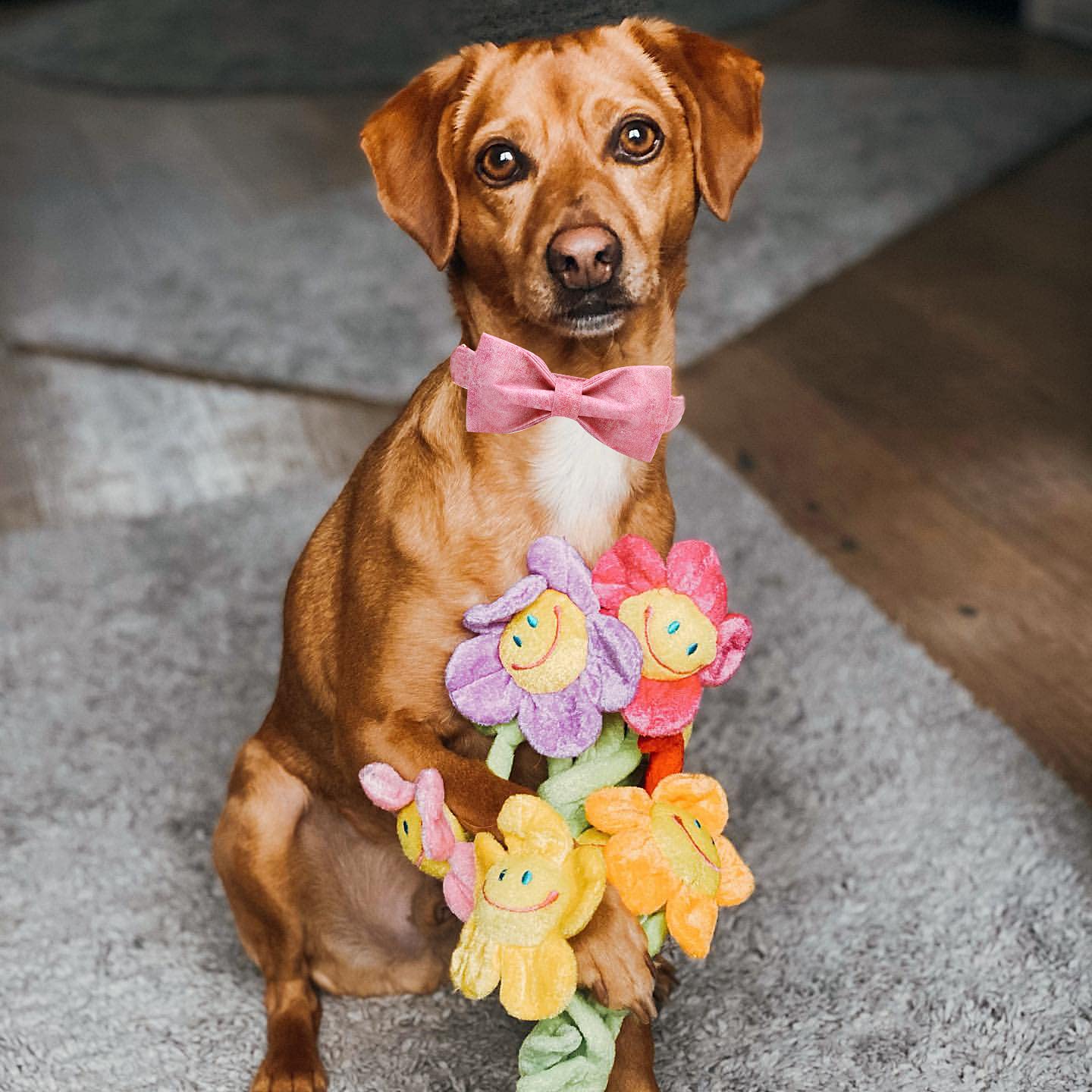 Elegant Little Tail Pink Colorful Dog Collar, Comfortable Dog Collar With Bow Adjustable Soft Bow Tie Dog Collars For Small Dogs