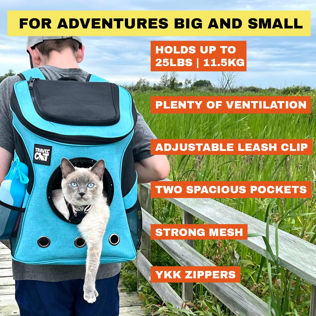 The Fat Cat Aqua Backpack Carrier - Airline Approved Cat Carrier with Space Capsule Bubble for Small Cats and Kittens