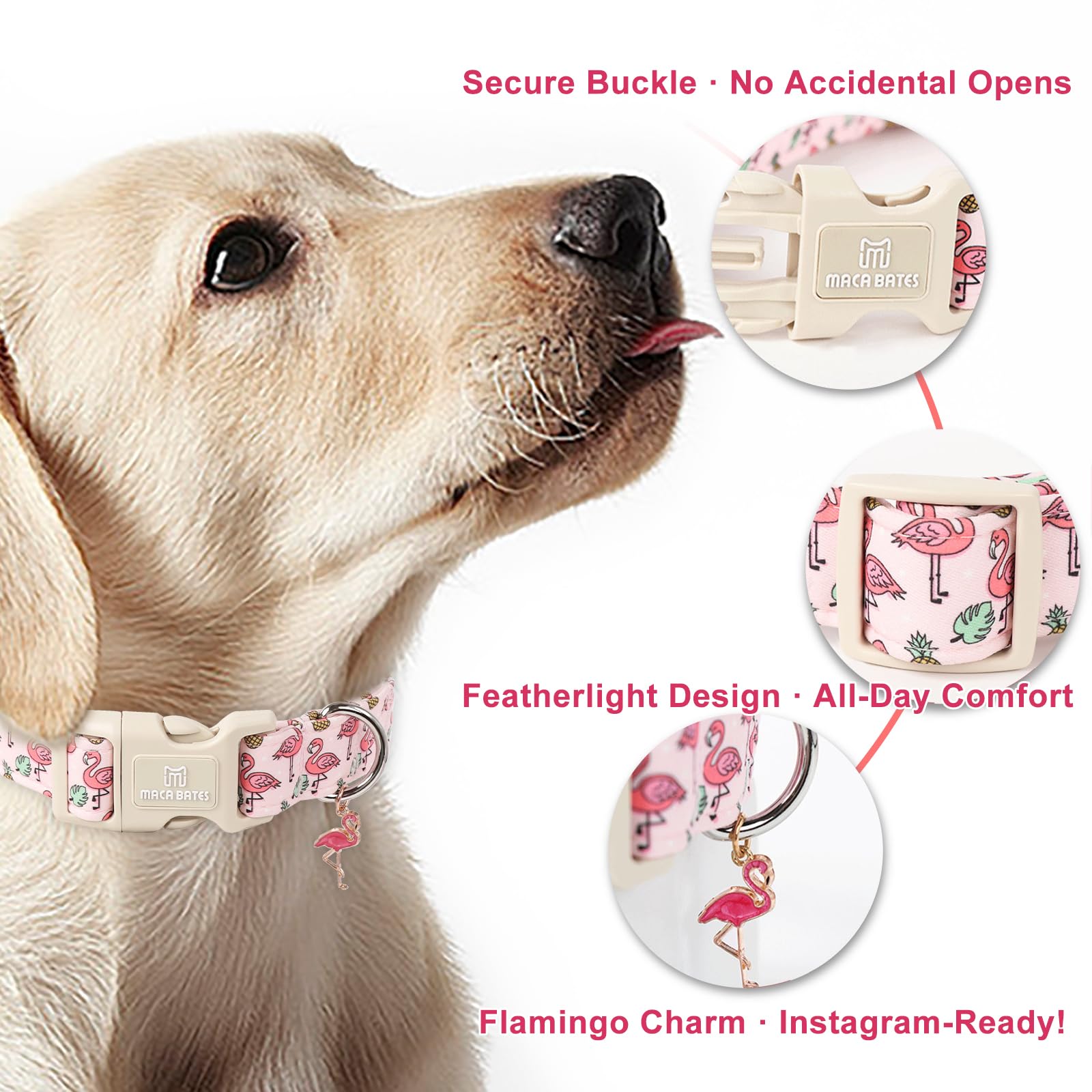 Maca Bates Cute Pink Flamingo Basic Dog Collar Puppy Collars Durable Comfortable Adjustable Durable Birthday Gift For Xs Small M