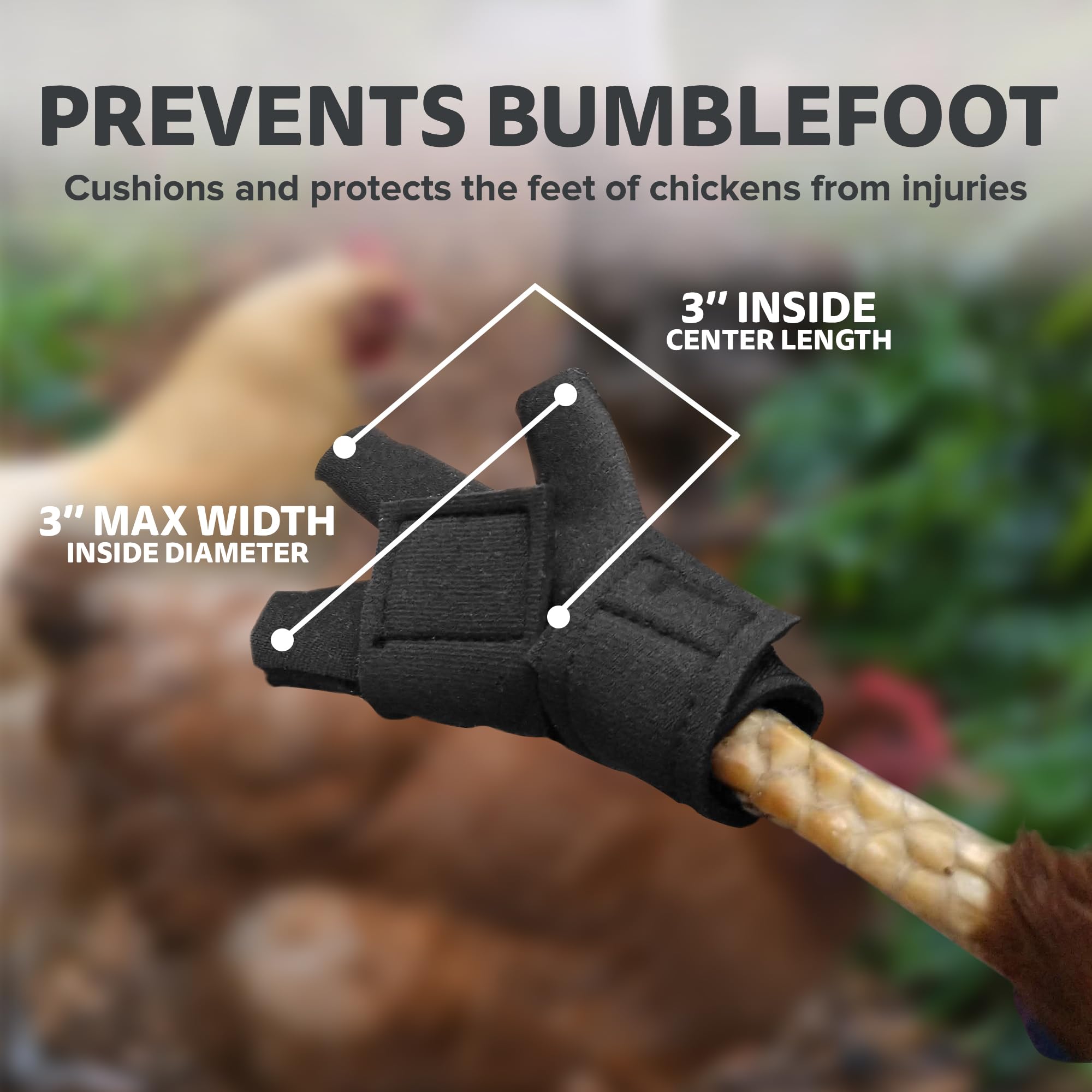 Birdy Bootie Chicken Shoes for Injured Feet - Protective Neoprene Footwear for Chicken, Open-Toe Design for Bumblefoot Relief, M