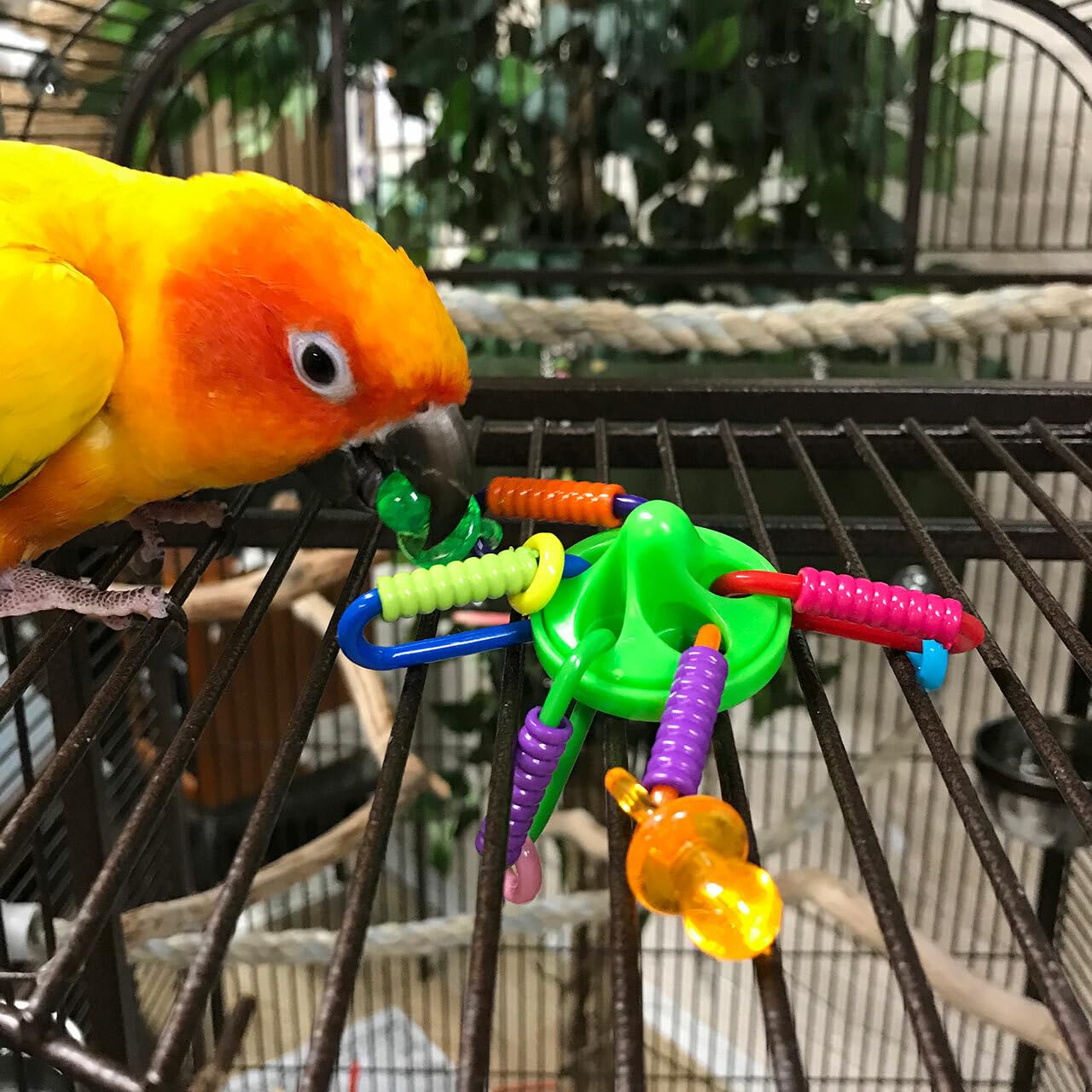 Super Bird Creations Sb591 Ufo Bird Foot Toy, Medium Bird Size, 5' X 2'