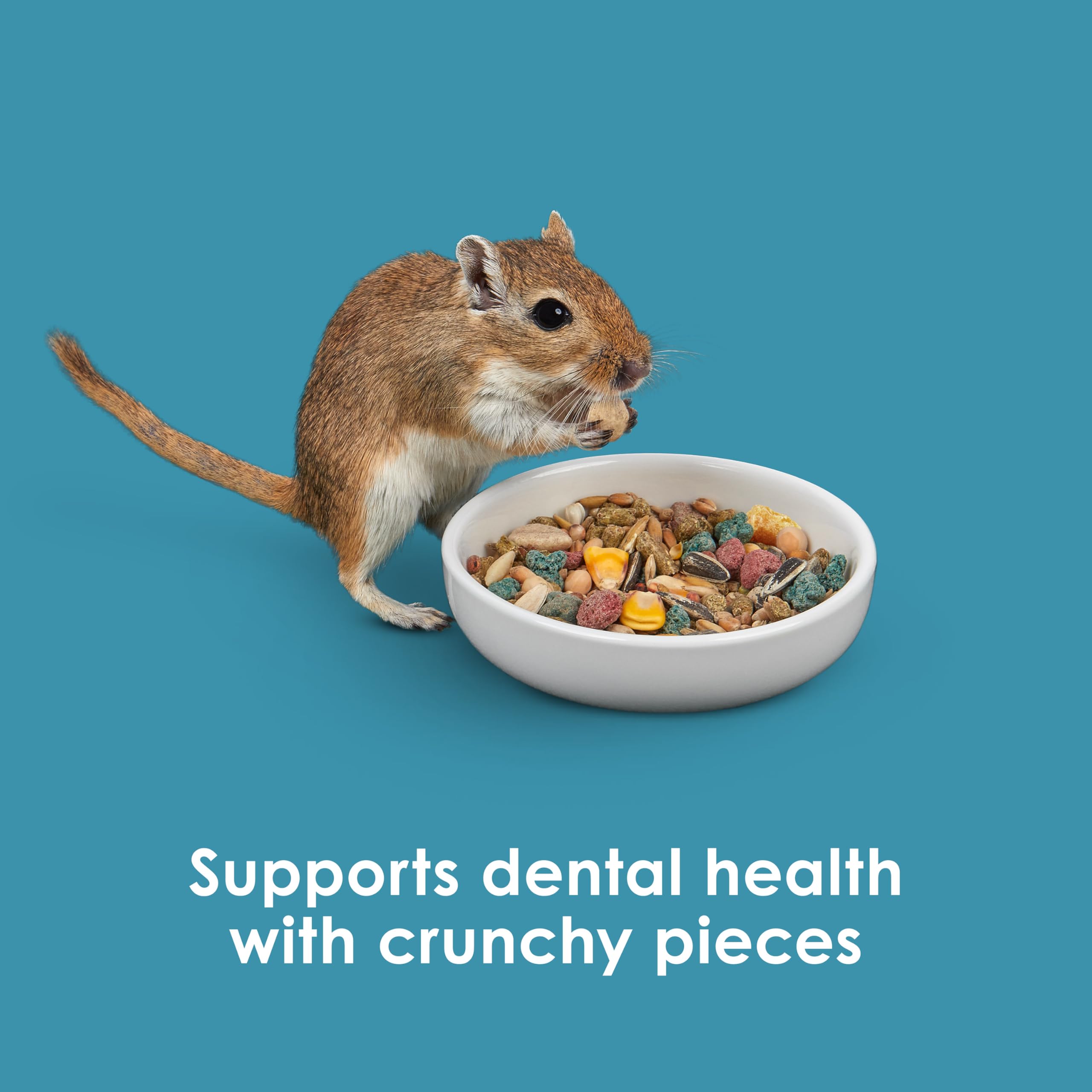 Kaytee Forti-Diet Pro Health Nourish+Protect Hamster and Gerbil Food, Comprehensive Nutrition Backed by Science, Digestive Healt