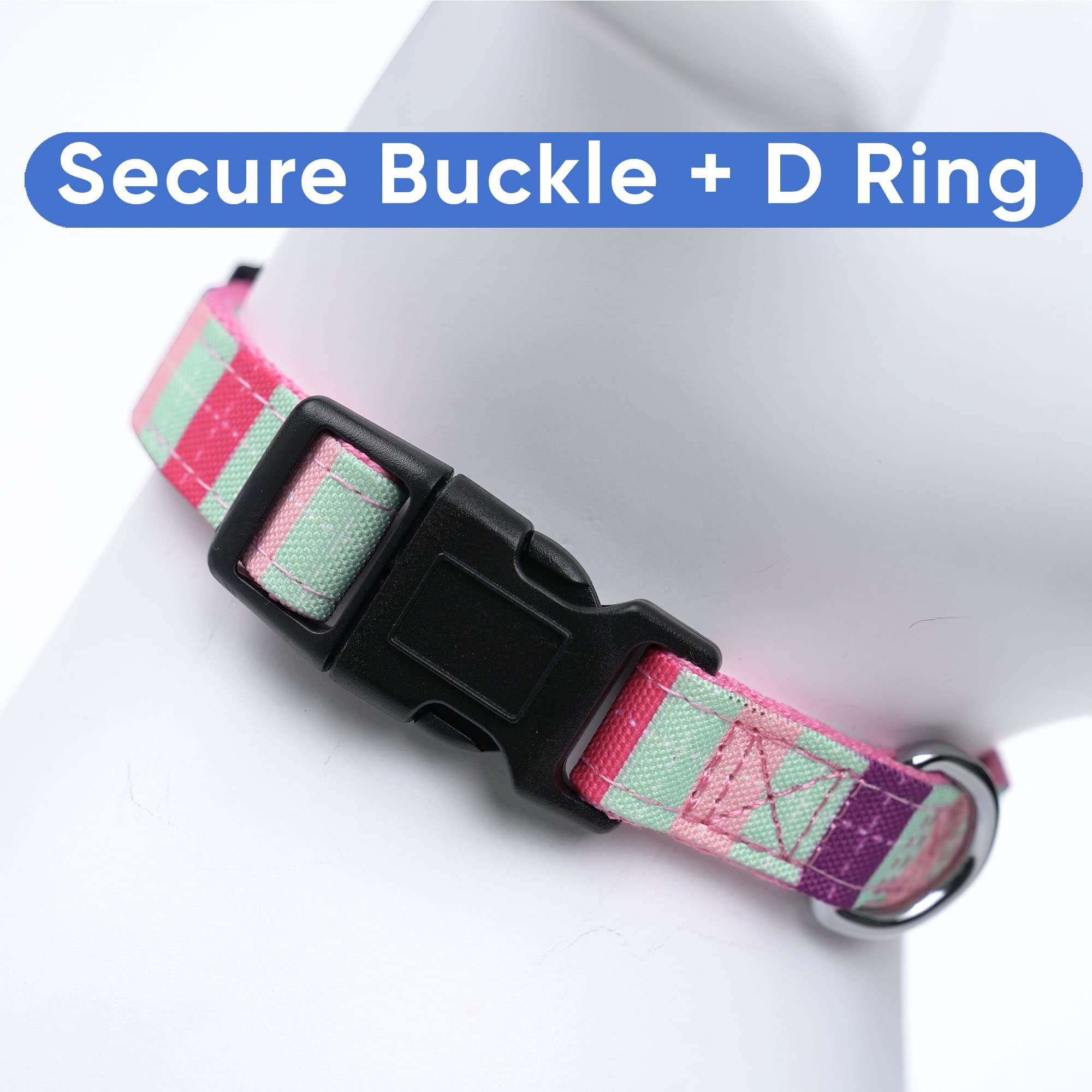 Pawtitas Multicolor Dog Collar Puppy Collar Pet Collar Multicolor Dog Collar Small Dog Collar Teal/Pink/Purple Dog Collar