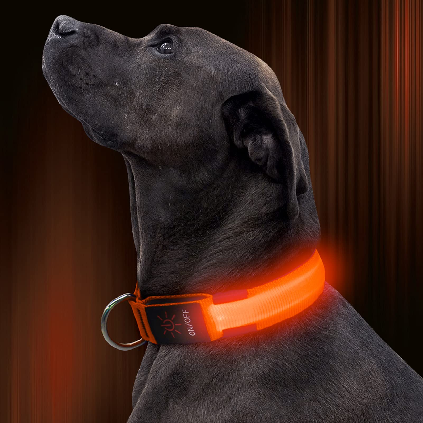 Illumifun Led Dog Collar, Adjustable Glowing Pet Safety Collar, Usb Rechargeable Light Up Collars For Your Dogs Walking At Night (Orange, Small)