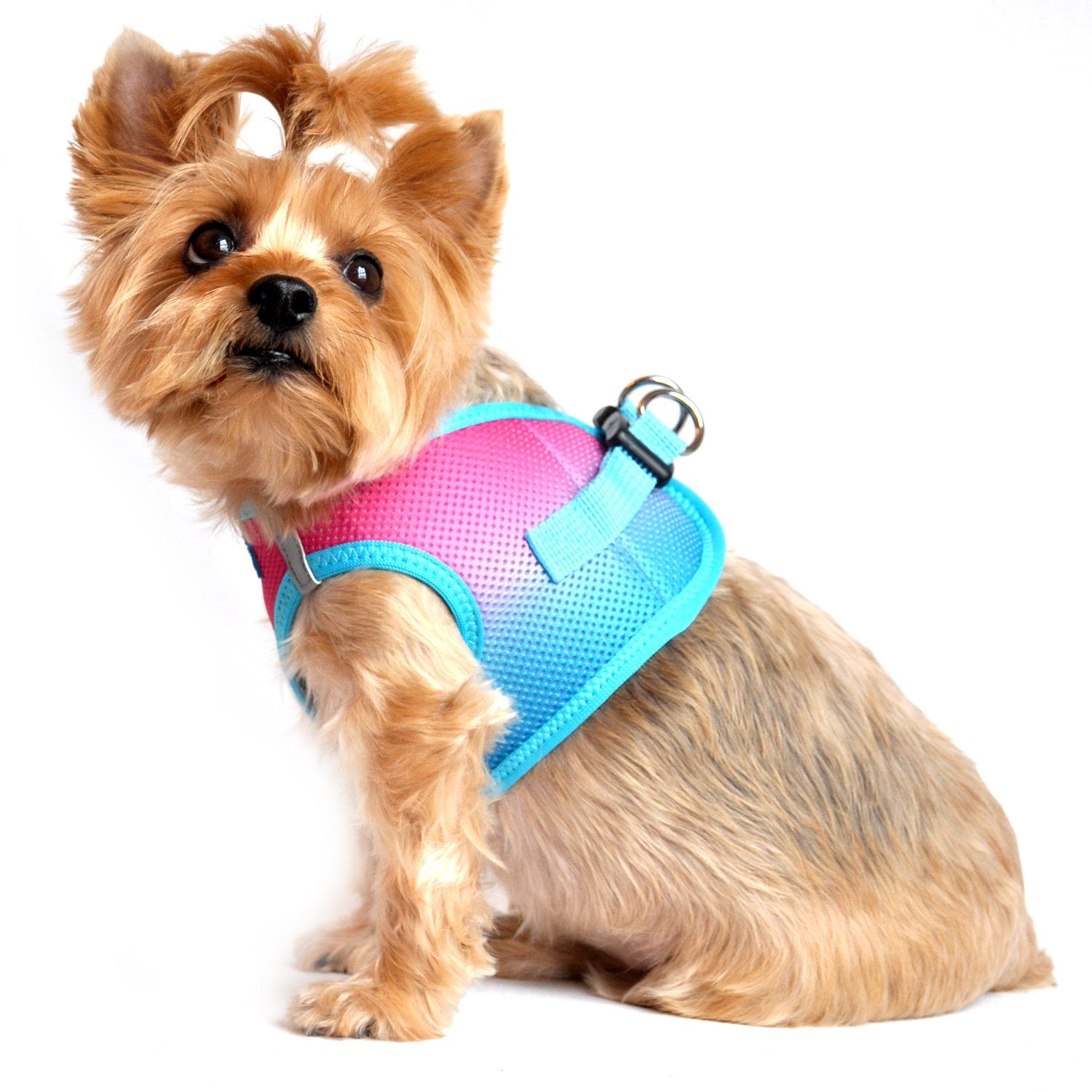 Doggie Design No Choke Dog Harness - Simple Step-In And Go Dog Vest For Small, Medium, And Large Breeds - Breathable Mesh Polyester Pet Harness - Sugar Plum - 3Xl