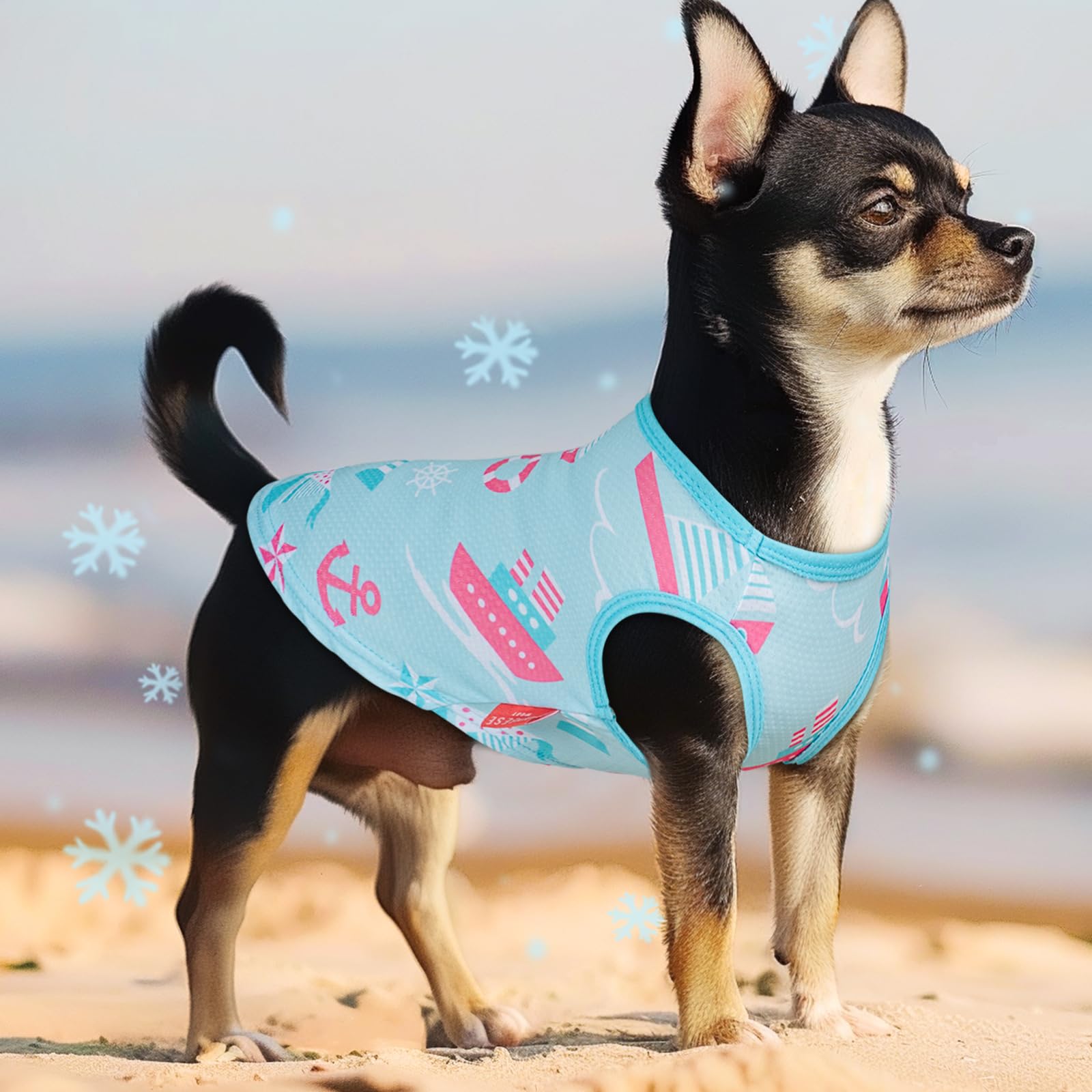 Kyeese 2 Pack Dog Cooling Shirts Breathable Lightweight Instant Cooling Dog Vest For Small Medium Dogs Quick Dry Sleeveless Vest