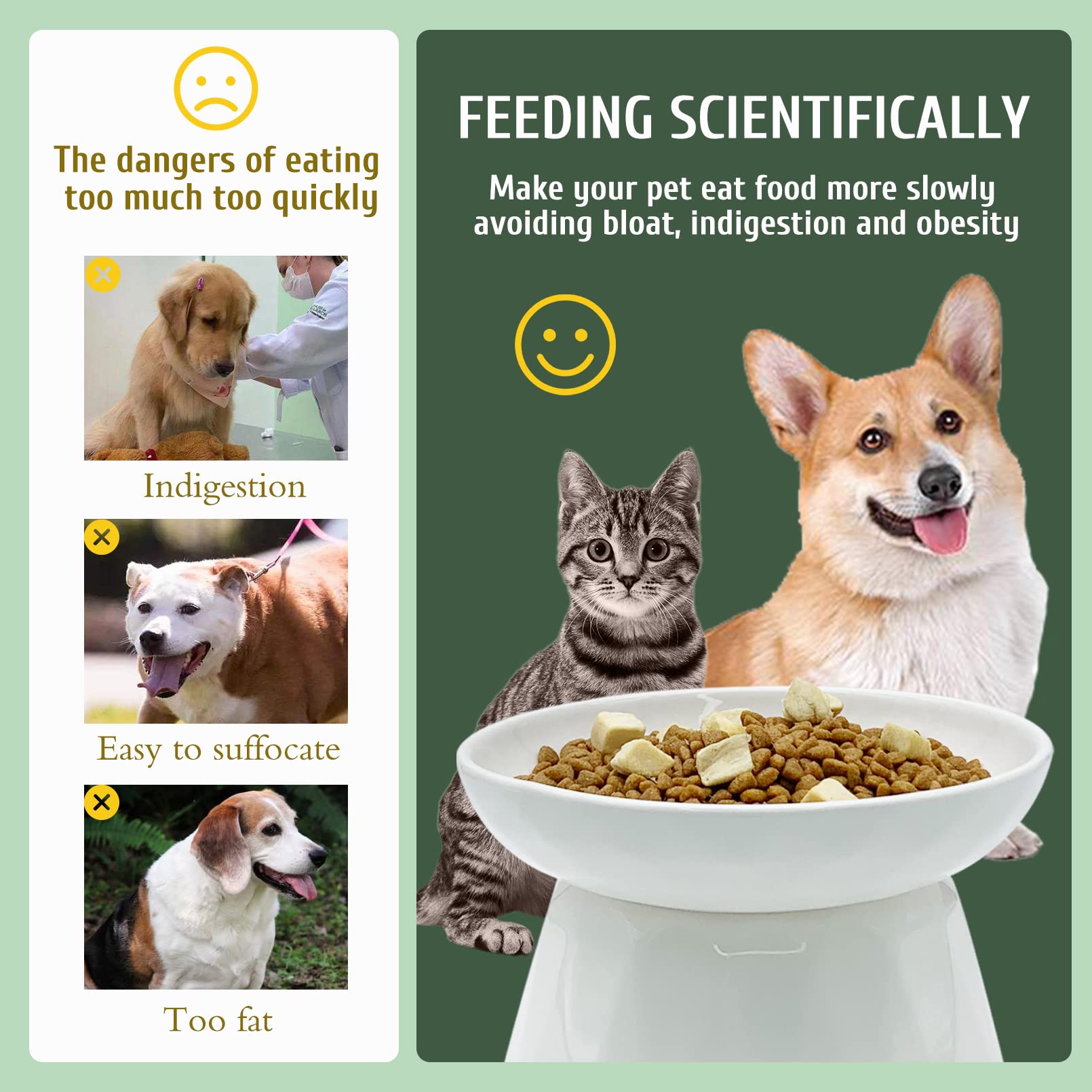 BNOSDM Raised Cat Slow Feeder Bowl Elevated Shallow Cat Dish Whisker Fatigue Slow Eating Bowls Cute Wet Food Puzzle Bowls for In