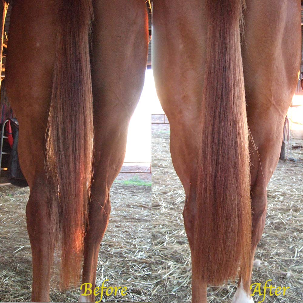 Y.J TAILS Horse Tail Extensions with Braided Horsehair Loop, Blunt Cut Bottom, 34-36 inches Long and 1 lb Weight (Light Sorrel)
