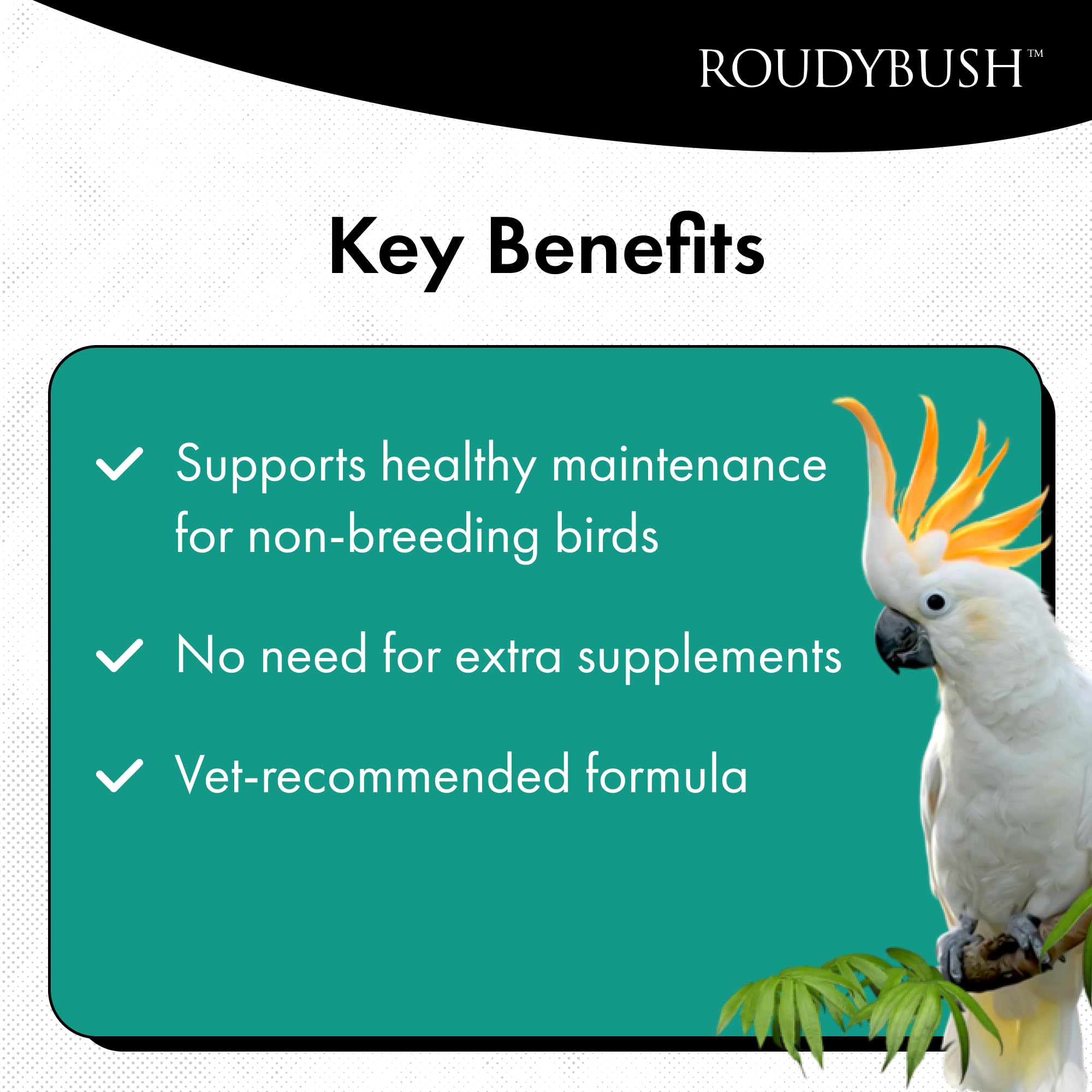 Roudybush Daily Maintenance Bird Food, Medium, 25-Pound