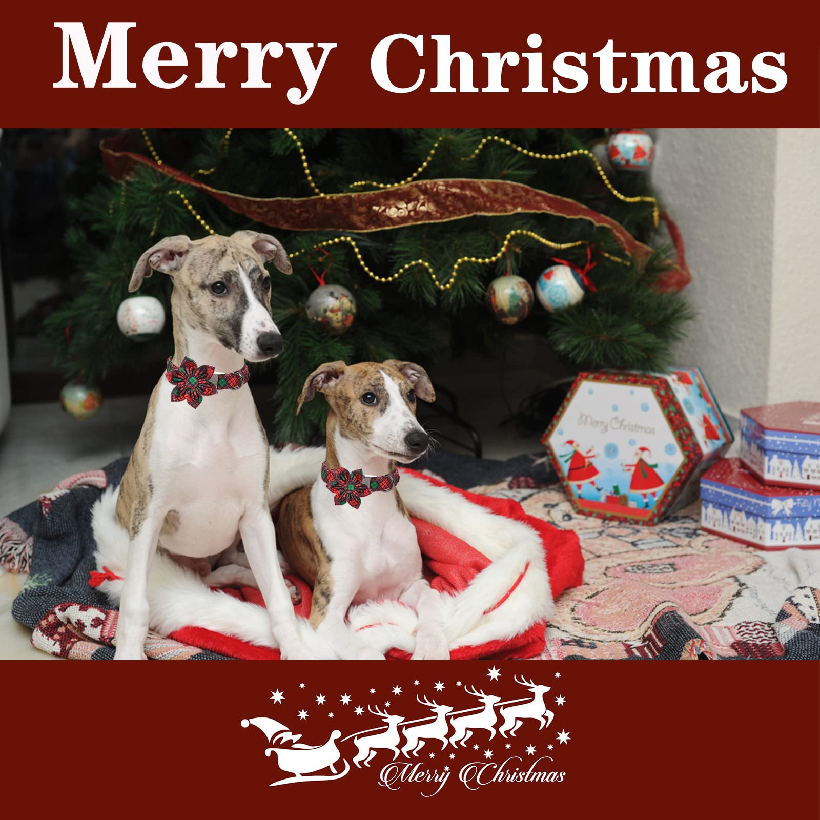 Unique Style Paws Christmas Dog Collar With Flower Tie Red Green Plaid Adjustable Cotton Puppy Collar For Small Medium Large Dogs-M