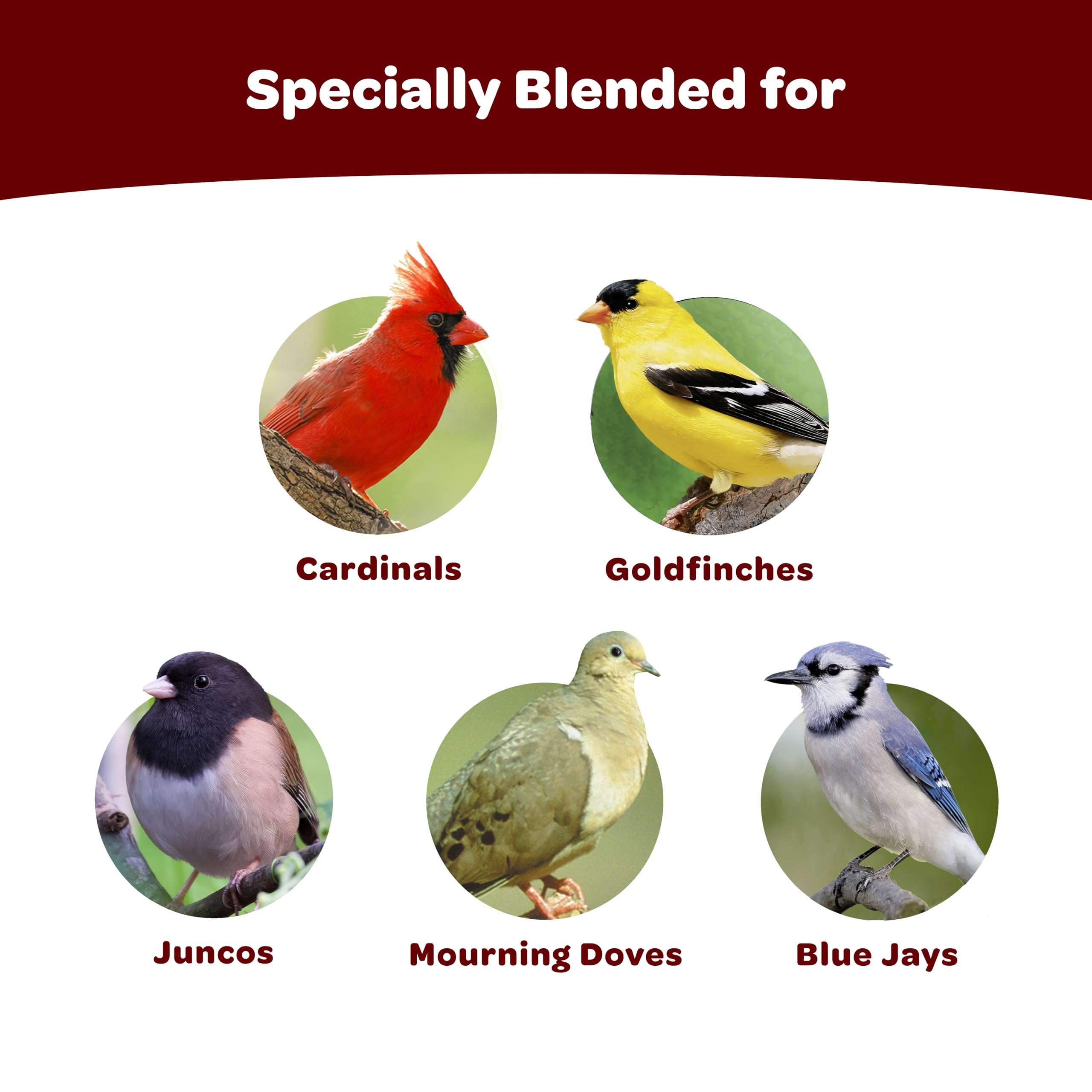 Kaytee Cardinal Wild Bird Seed Cake 1.85 Pounds 4 Count