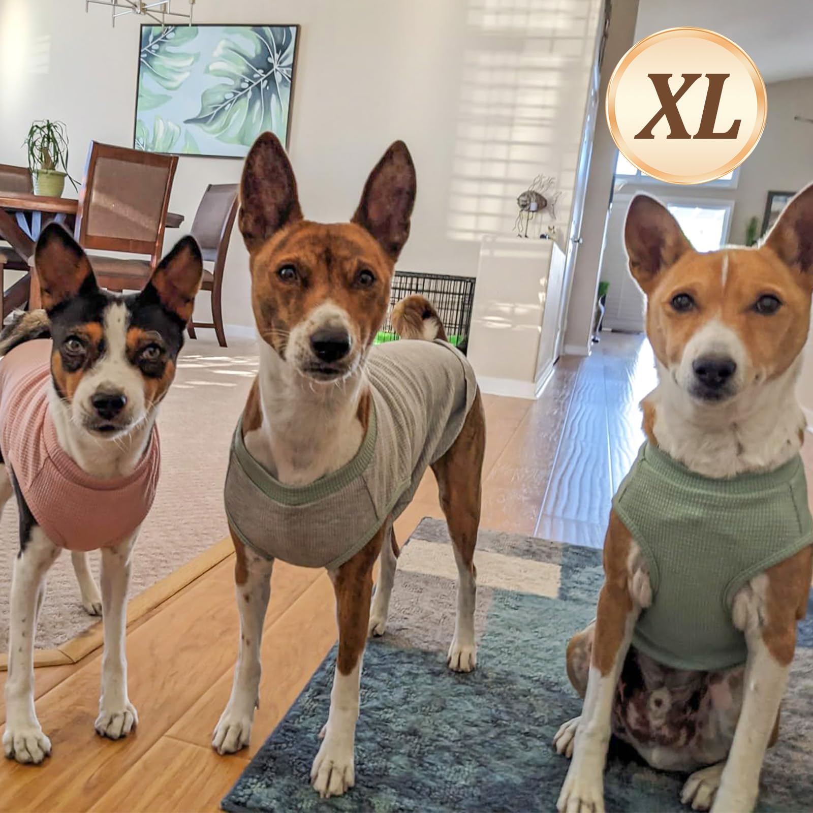 Kyeese 2Pack Waffle Dog Shirts For Small Dogs Stretchy T-Shirts Lightweight Tank Top Sleeveless Striped Vest Breathable Pet Outf