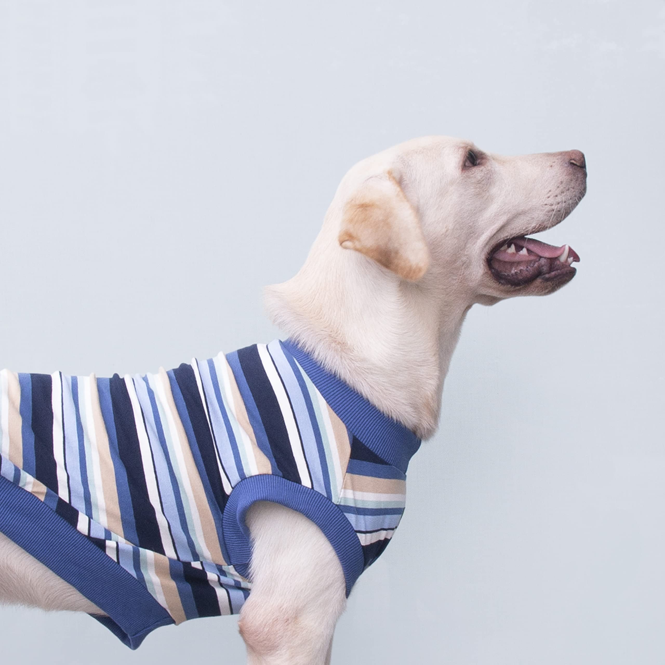 Arunners Extra Large Dog T Shirts Clothes Sleeveless Tank Top Vest For Labrador Rottweiler Great Dane, Blue, X-Large