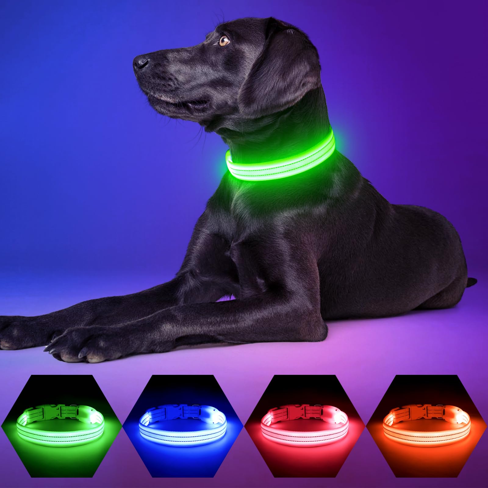 Pzrlit Light Up Dog Collars Rechargeable, Reflective Led Glow Dark Dog Collar For Small Medium Large Dogs, Adjustable Pet Dog Li