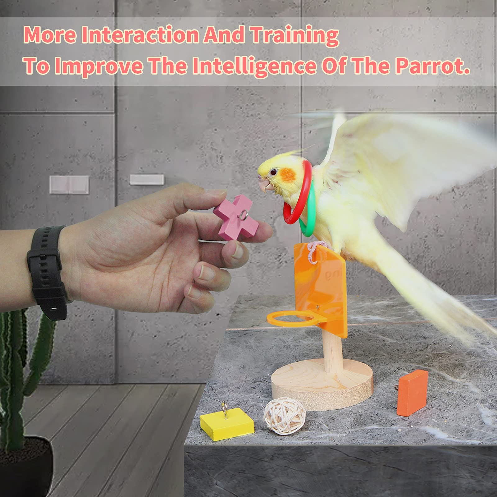 Bird Toys For Parakeets,5pcs Parrot Toys Set (Include Bird Basketball Toy?Bird Skateboard?Bird Stacking Toy?Parrot Wooden Block