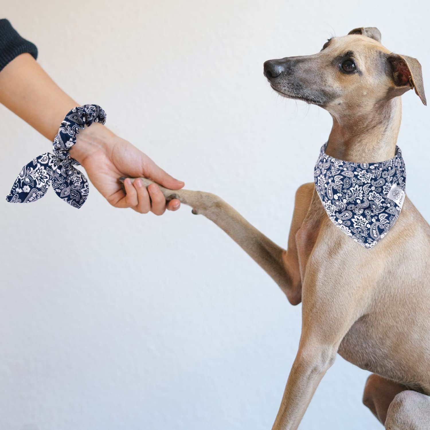 E-Clover Dog Bandanas Boy & Matching Scrunchie Set Dog Bandana Scarf Bibs With Bow Scrunchies For Medium Large Dogs Pet Owner Mo