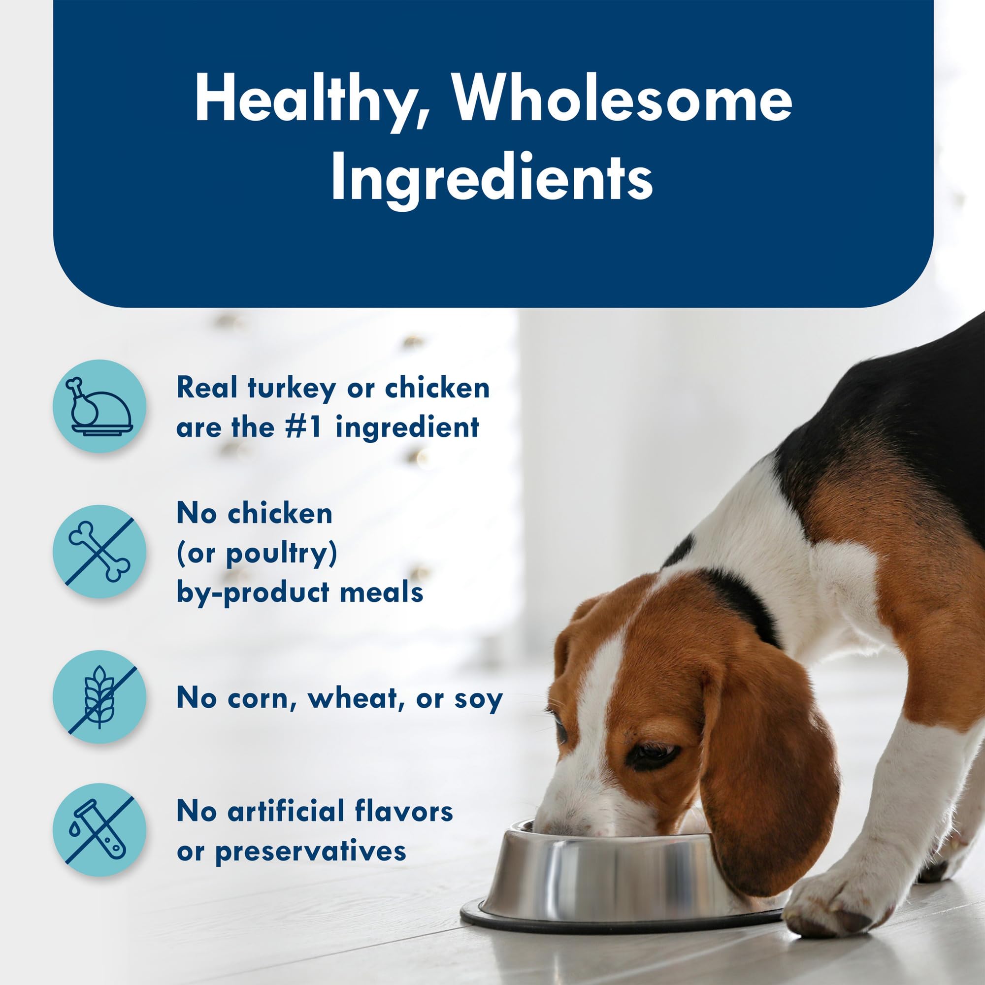 Blue Buffalo Delights Small Breed Natural Wet Dog Food Variety Pack, Roasted Turkey Pat   and Grilled Chicken Pat  , 3.5-oz Cups