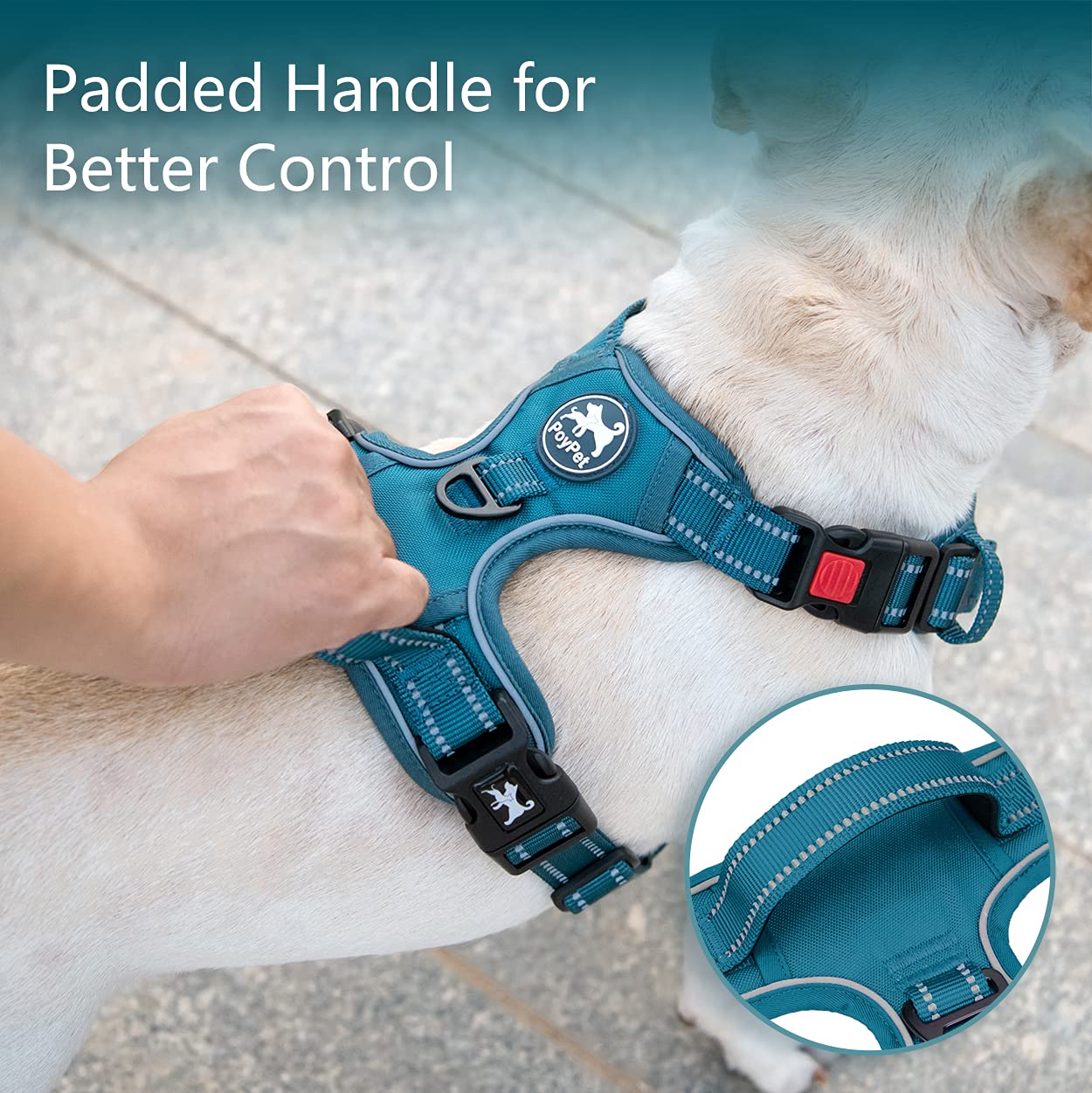 Poypet No Pull Dog Harness, No Choke Reflective Dog Vest, Adjustable Pet Harnesses With Easy Control Padded Handle For Small Medium Large Dogs(Tumalo Teal,S)