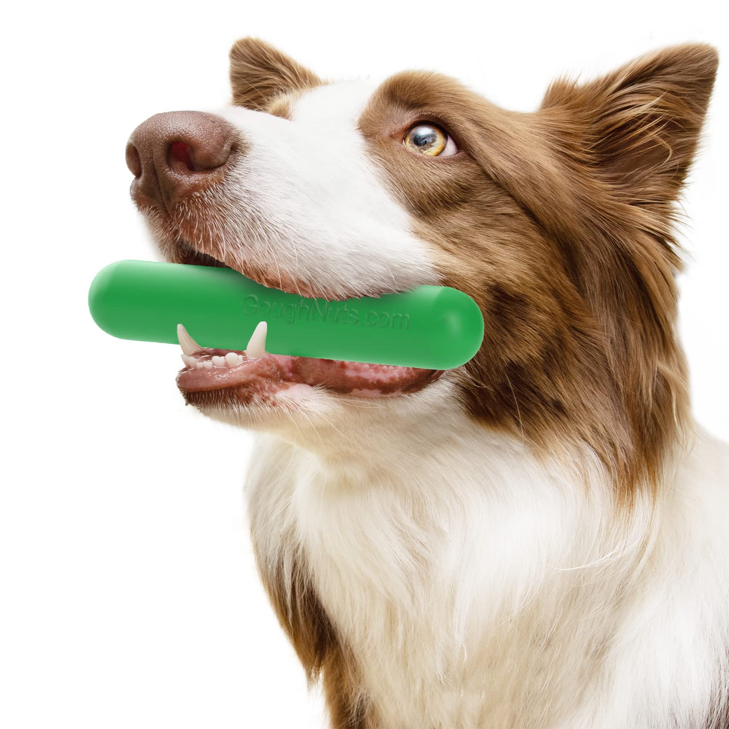 Goughnuts Dog Toy Stick for Aggressive Chewers - Heavy Duty Rubber, Small (10-40 lb), Green, Model .75GS