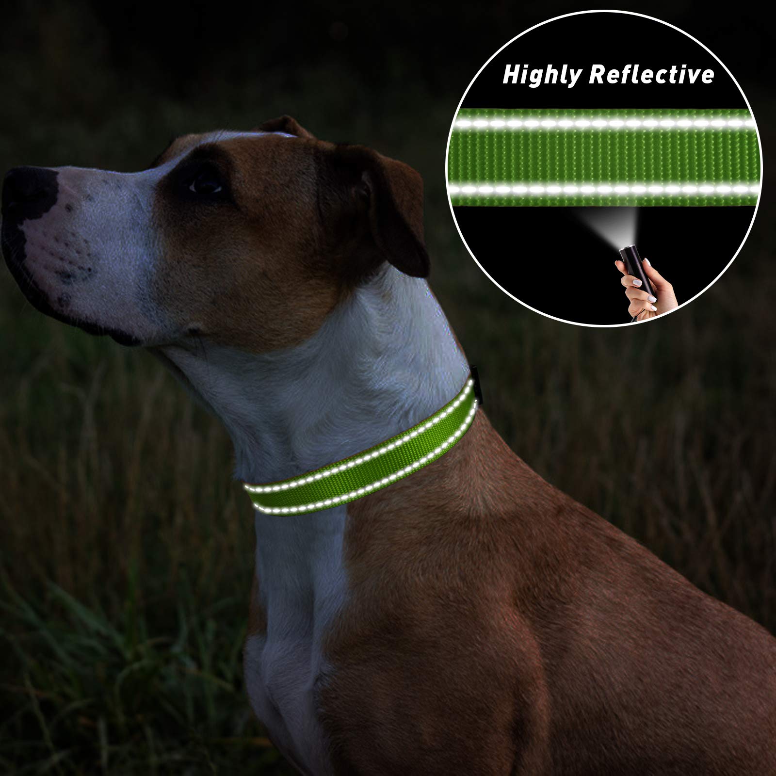 Tagme Reflective Nylon Dog Collars, Adjustable Classic Dog Collar With Quick Release Buckle For Small Dogs, Green, 3/4' Width
