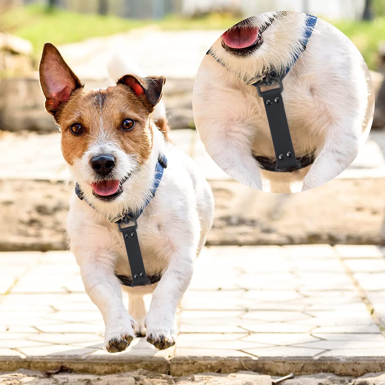 Jipimon Waterproof Prong Collar Backup 2 Pack Double Ended Backup Safety Clip For Prong Collar Dog Harness Collar Connector