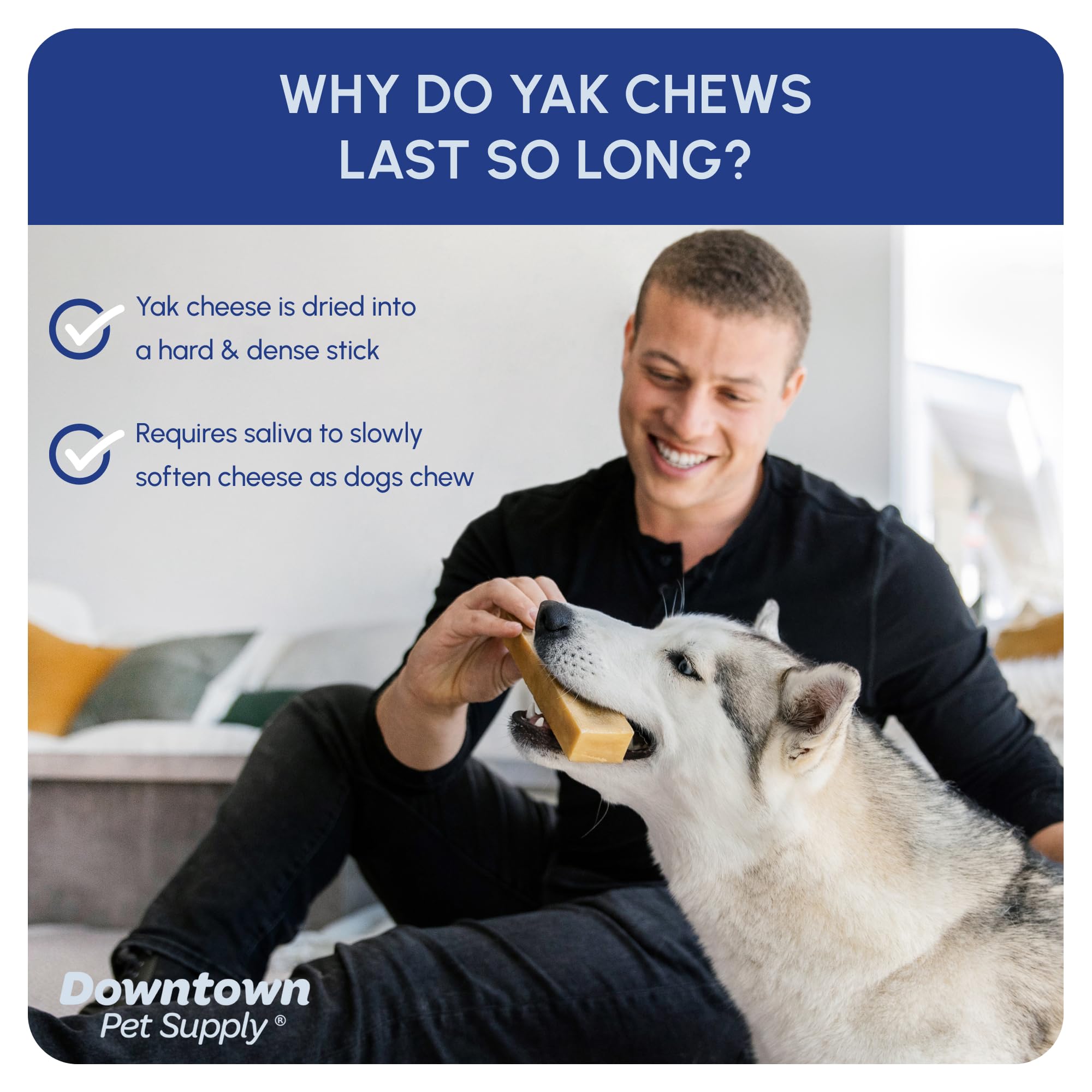 Downtown Pet Supply Yak Cheese Himalayan Dog Chews - Large Yak Chews Rich in Nutrients for Medium to Large Dogs - Long Lasting,