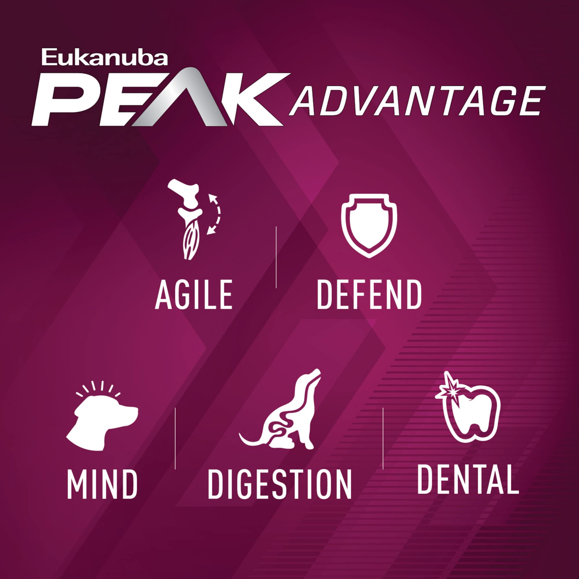 Eukanuba Adult Premium Performance 21/13 Sprint Dry Dog Food, 4.5 lb Bag