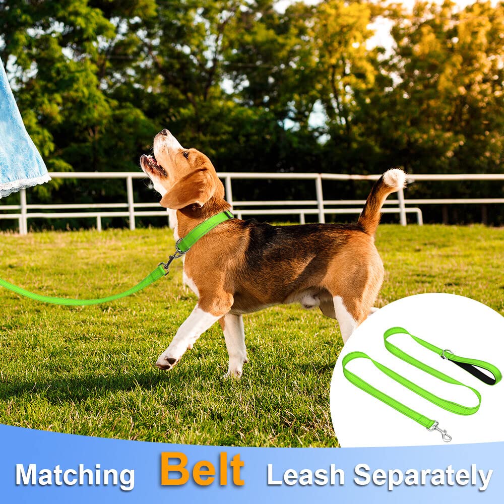 Taglory Reflective Adjustable Dog Collars For Puppy Small Medium Large Dogs, Thin Nylon Webbing And Quick Release Plastic Buckle(Green Medium)