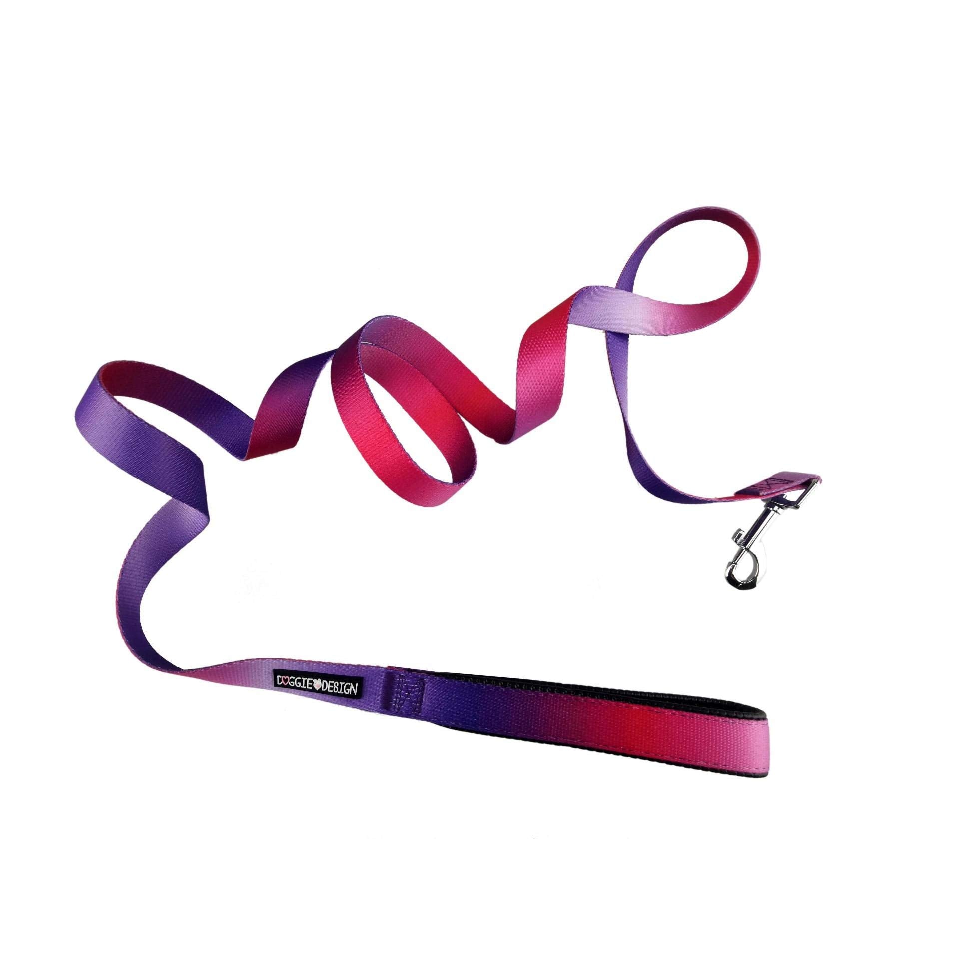 Doggie Design Ombre Leash (5/8 Inches Wide X 4 Feet Long, Raspberry Sundae)