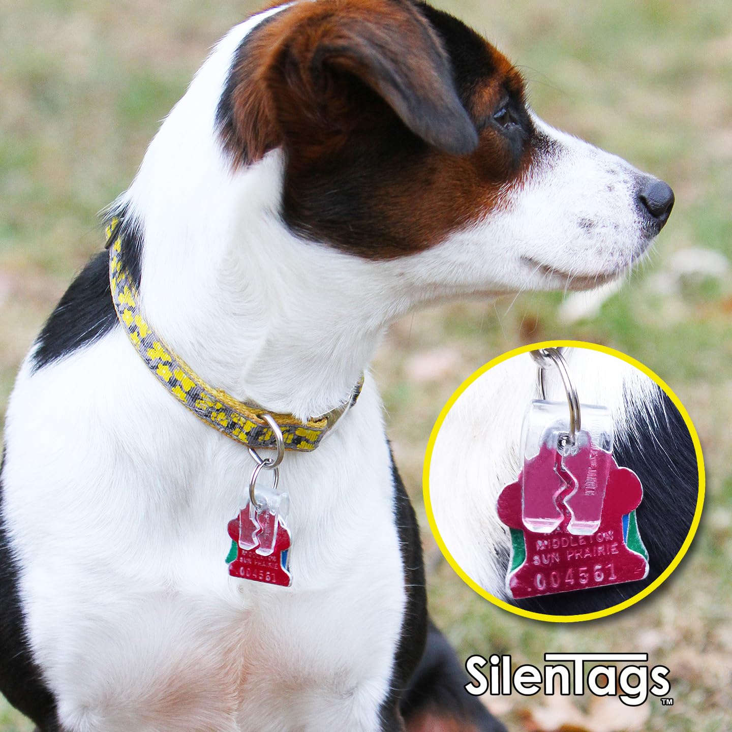 Silentags Pet Tag Silencer Clip It On, Jingle'S Gone! -Clear