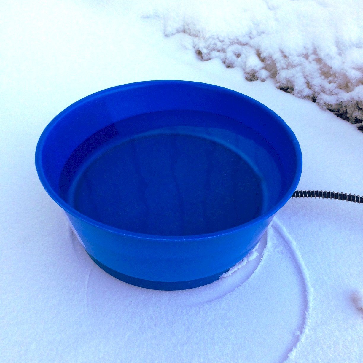 Farm Innovators 1.5 Gallon 60 Watt Outdoor Electric Powered Heated Pet Water Bowl with Thermostatic Control and Anti Chew Cord P